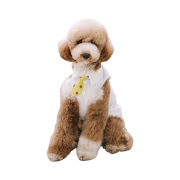 Bsrabbit Pet Short Tie Yellow