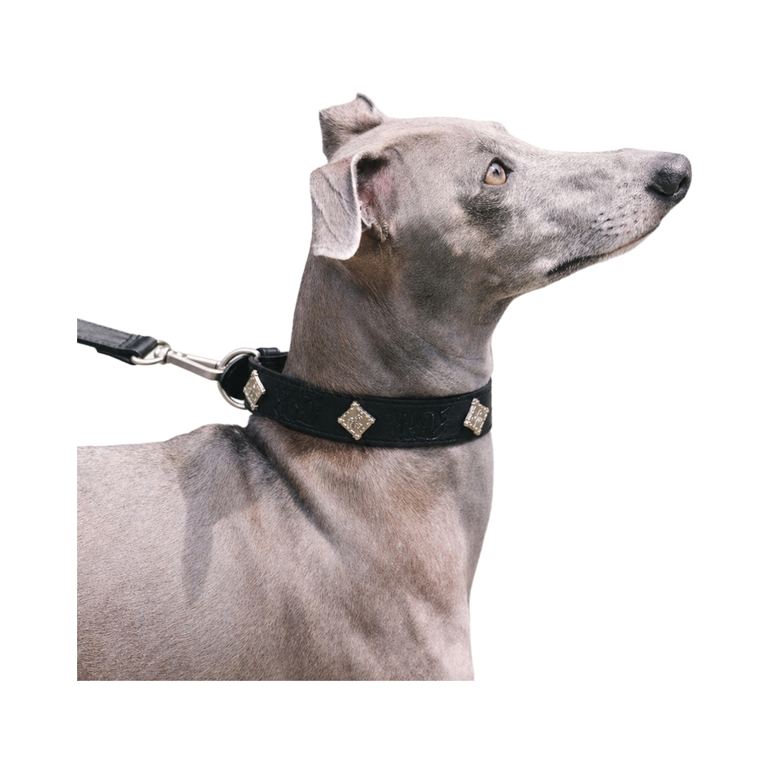 비에스래빗 시그너쳐 리벳 비건 레더 독 카라 블랙(Bsrabbit Signature Rivet Vegan Leather Dog Collar Black) - 1