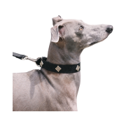 Bsrabbit Signature Rivet Vegan Leather Dog Collar Black