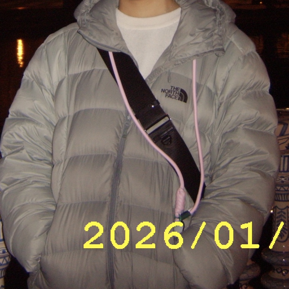 The North Face Ruta Down Jacket Light Khaki - 25SS 착용 스타일