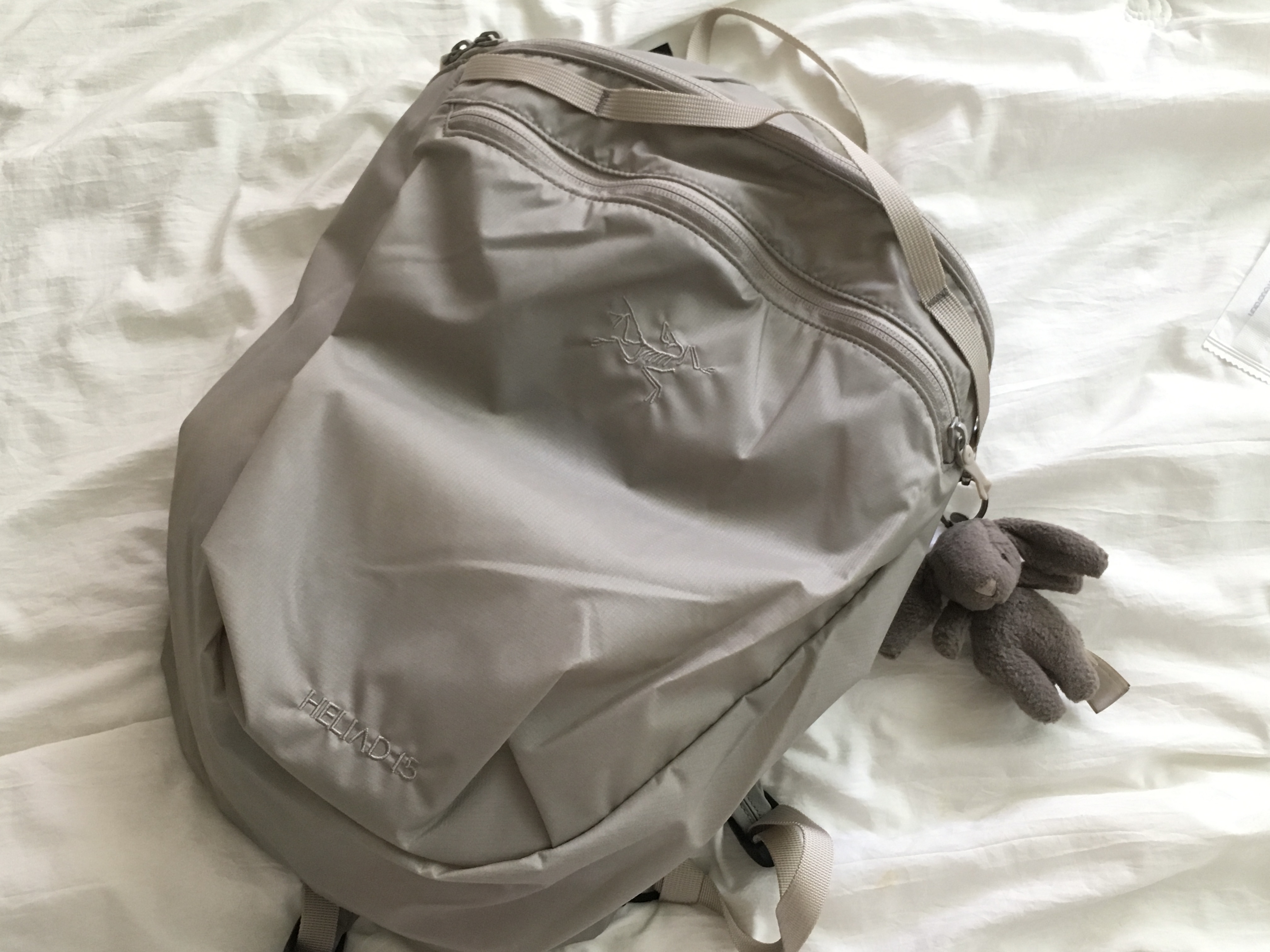 Arc'teryx Heliad 15 Backpack Rune 착용 스타일 - 1