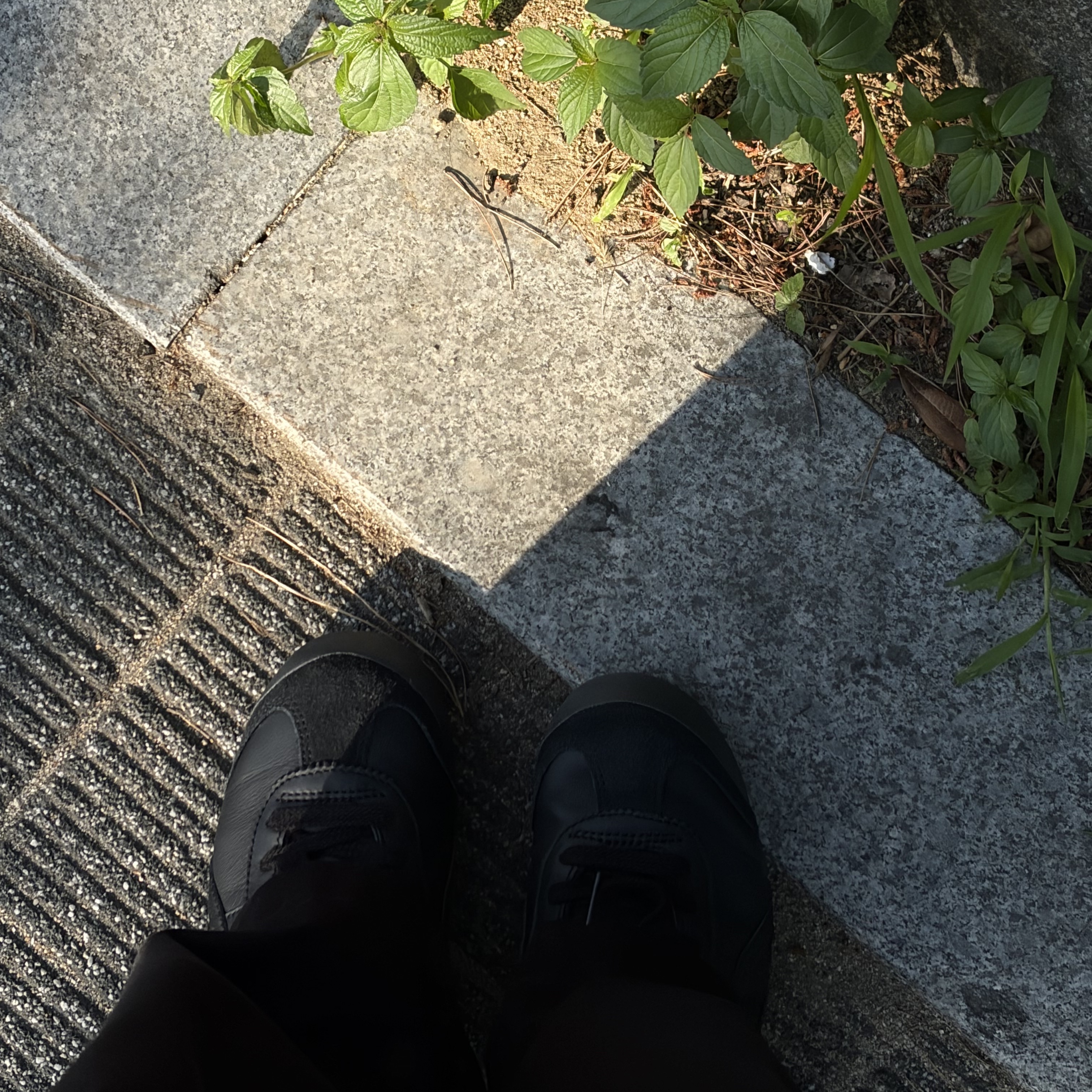 Onitsuka Tiger Mexico 66 Black 착용 스타일