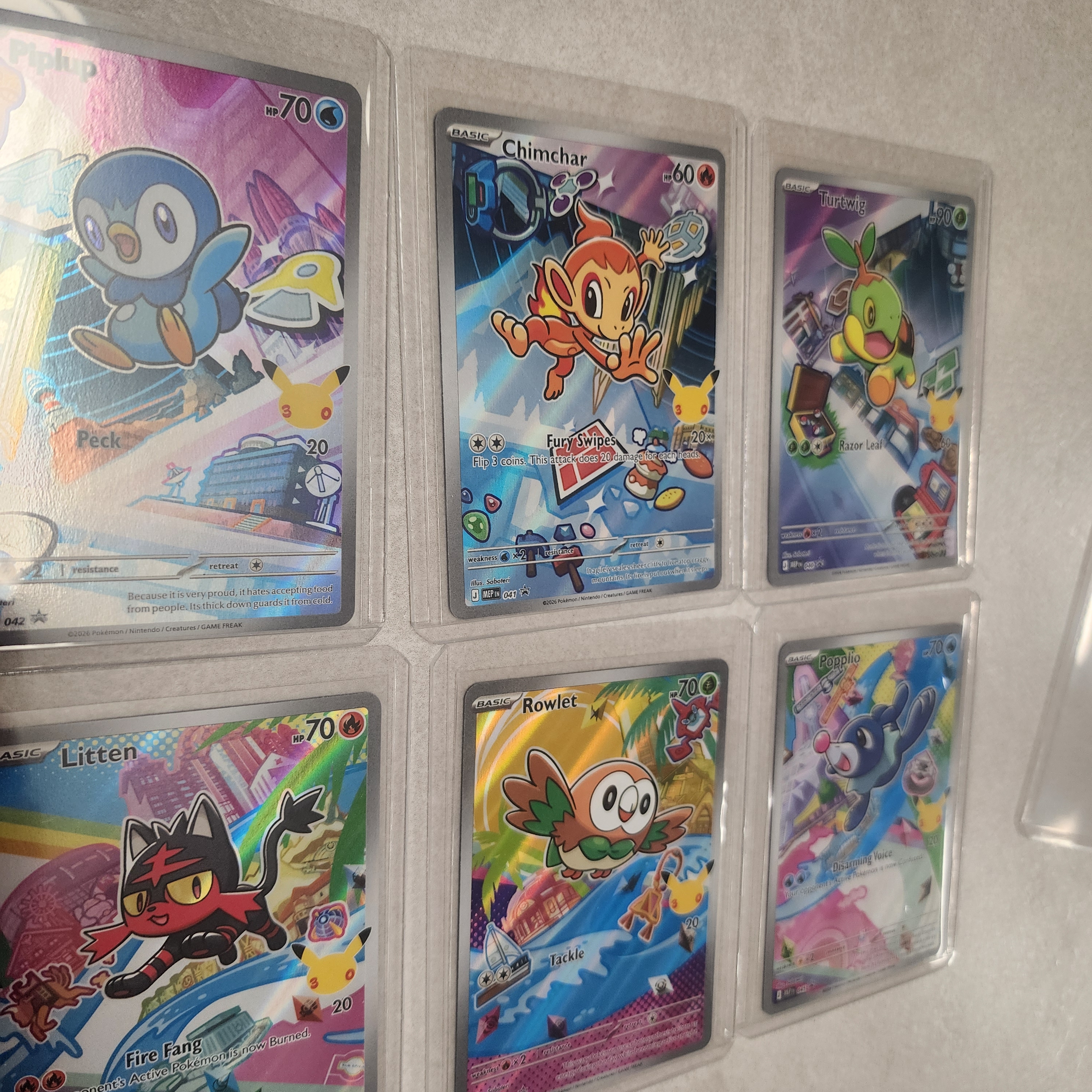 Pokemon TCG First Partner Illustration Collection Series Vol.1 Box (English Ver.) 착용 스타일