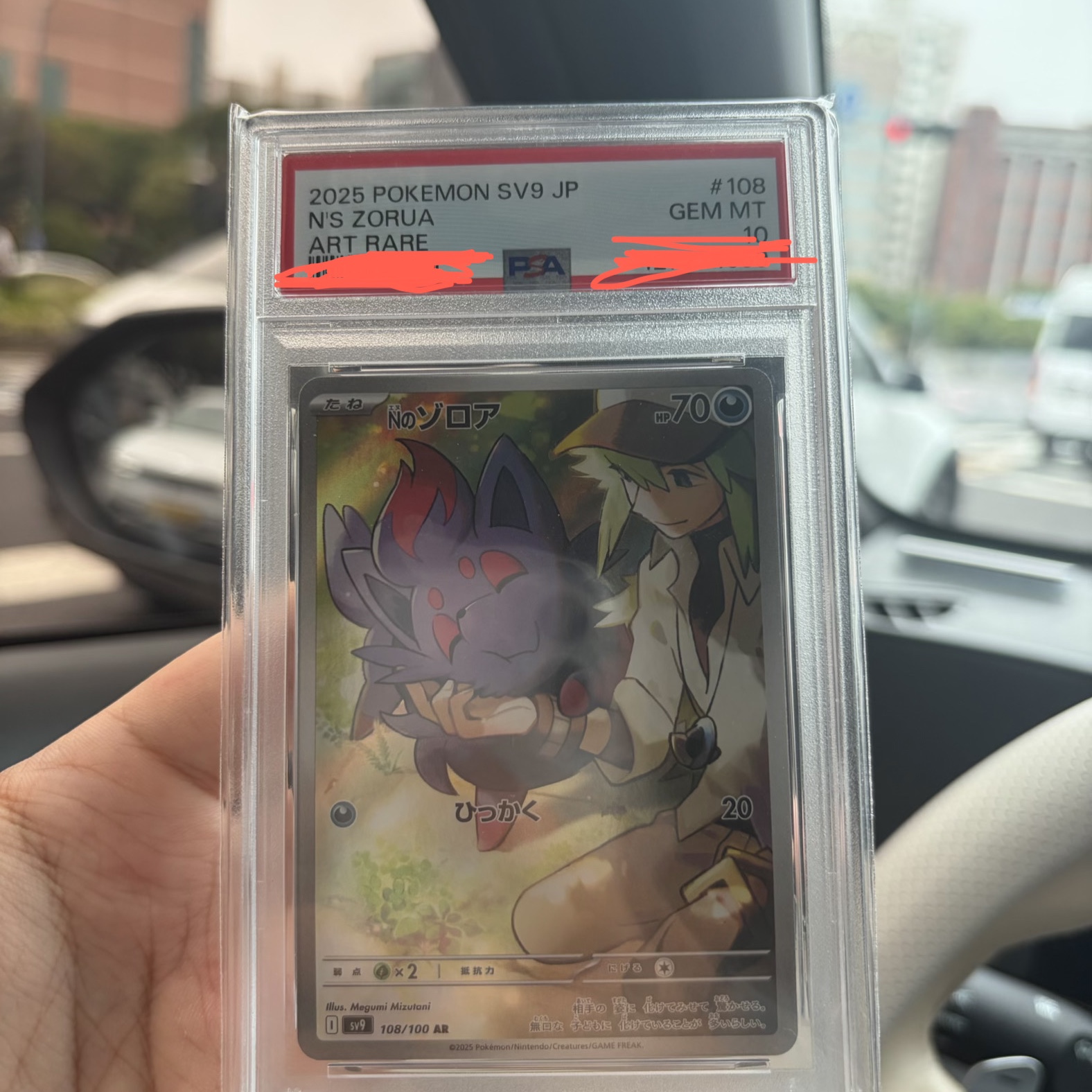 Pokemon TCG N's Zorua AR Battle Partners (Japanese Ver.) 착용 스타일