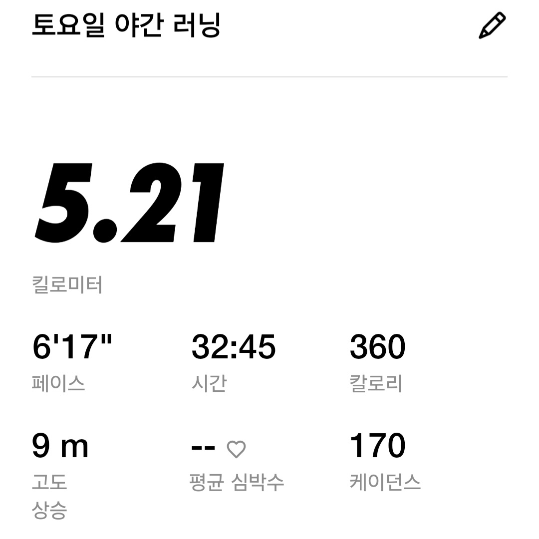 Nike Air Zoom Pegasus 41 Cool Grey Wolf Grey 착용 스타일 - 2
