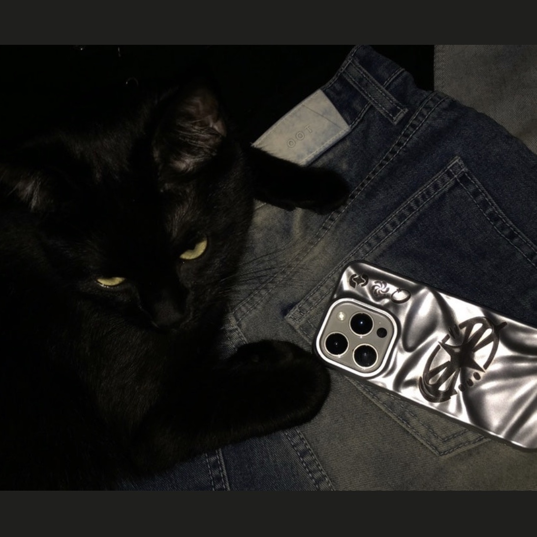BLAMESTUDIO metallic space wave case 착용 스타일 - 1
