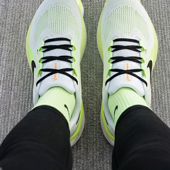 Nike Air Zoom Pegasus 41 White Volt Ice 착용 스타일