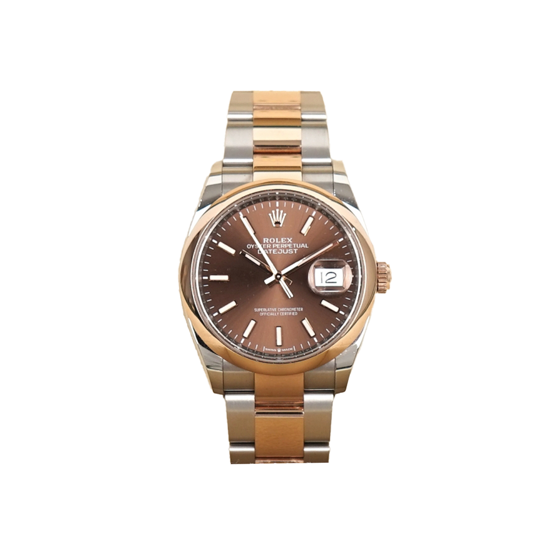 롤렉스 데이저스트 36 콤비 오이스터 베젤 초코 126201 (24년)(Rolex Datejust Two-Tone Oyster Bezel Chocolate 126201 (2024))