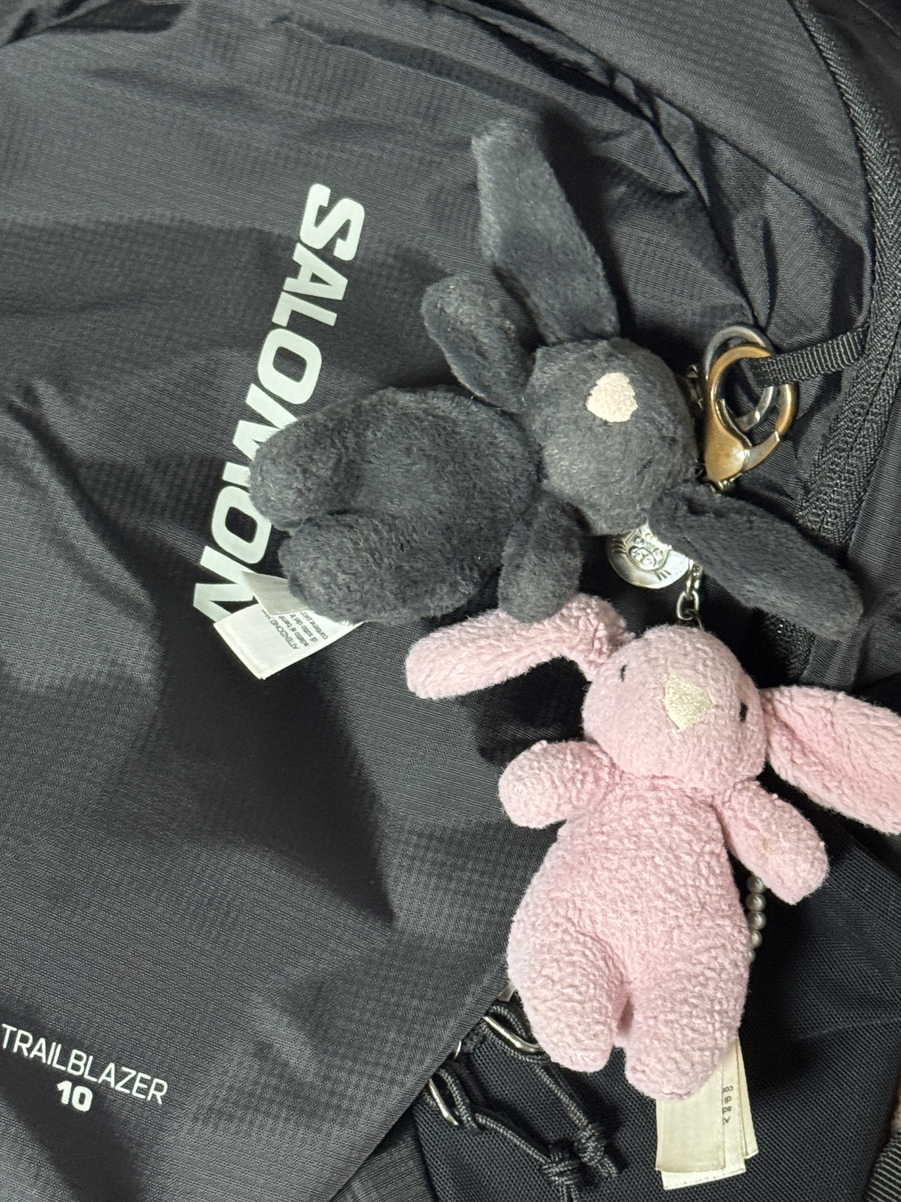 Salomon Trailblazer 10 Black, Jellycat Bashful Bunny Bag Charm Ink 착용 스타일