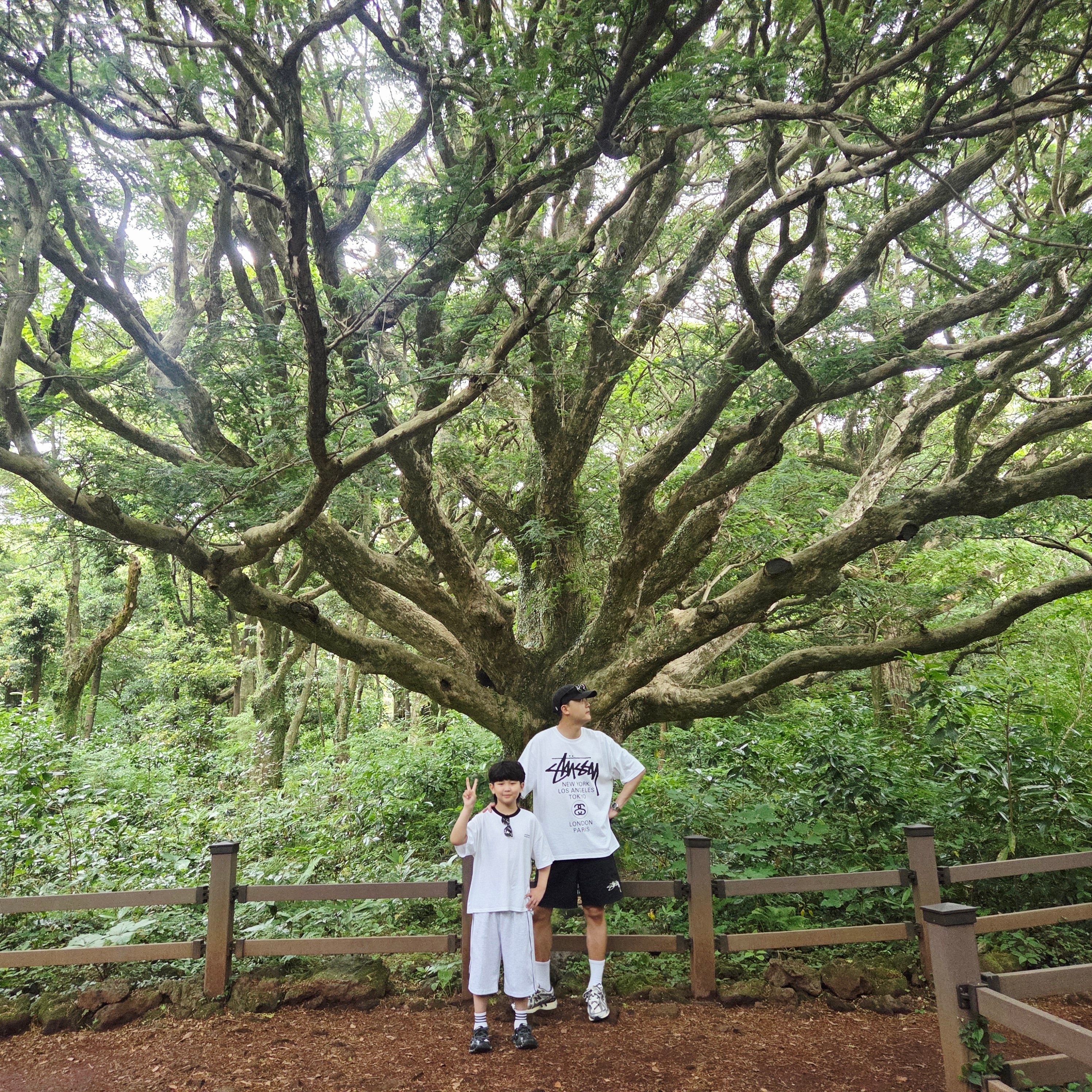 Stussy Washed Basic Stussy Cap Black, Stussy World Tour T-Shirt White 착용 스타일 - 2