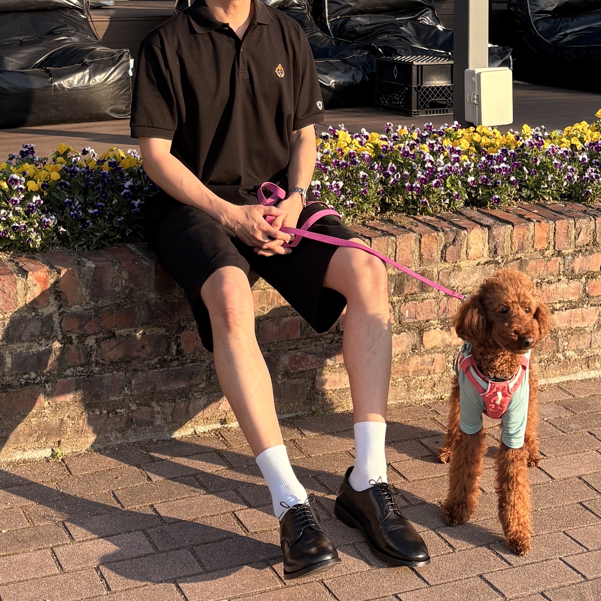 Gentle Monster Hovo 01 Black, POSTMAN T-3 Derby Black 착용 스타일 - 5