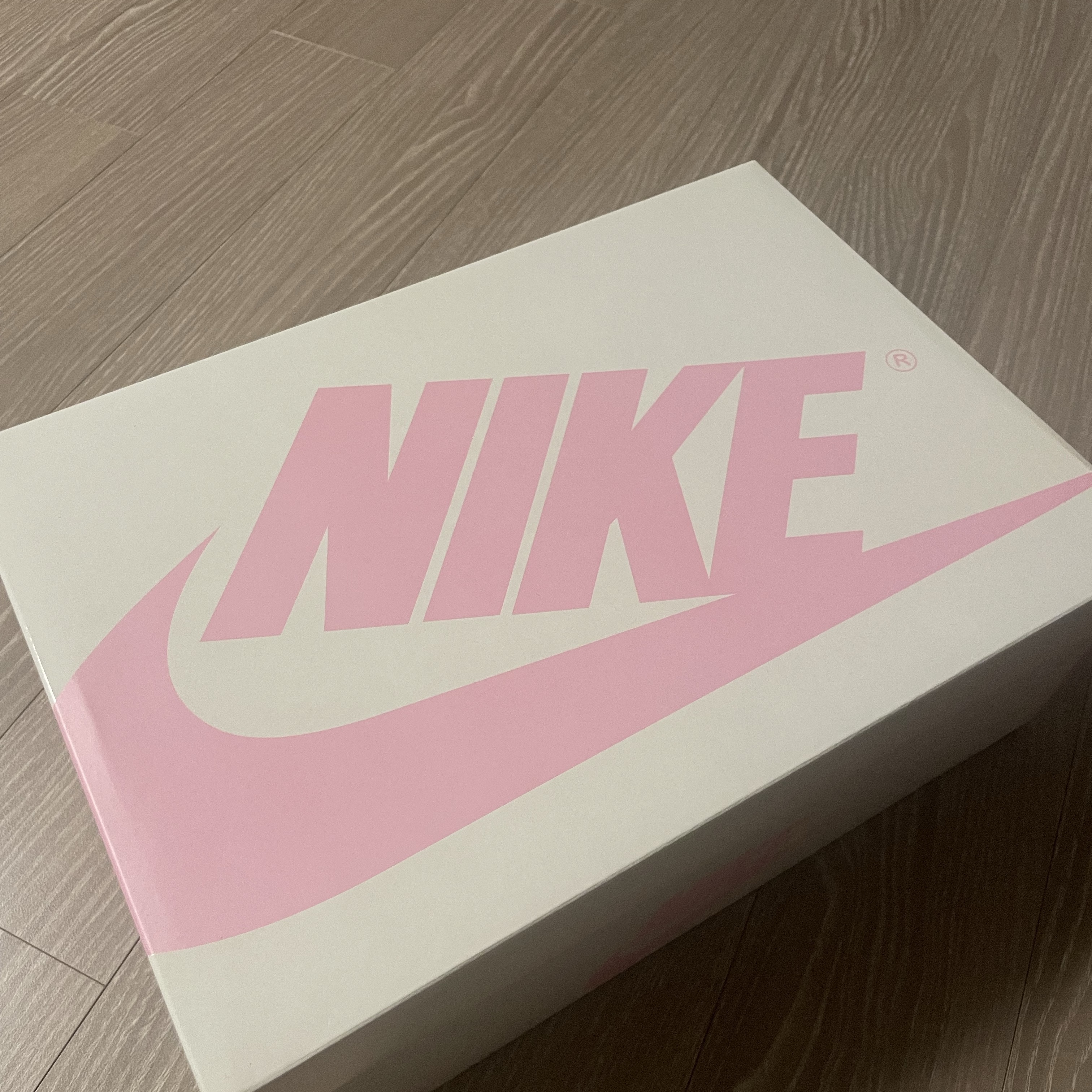 Jordan 1 x Travis Scott Retro Low OG SP Muslin Shy Pink 착용 스타일 - 1