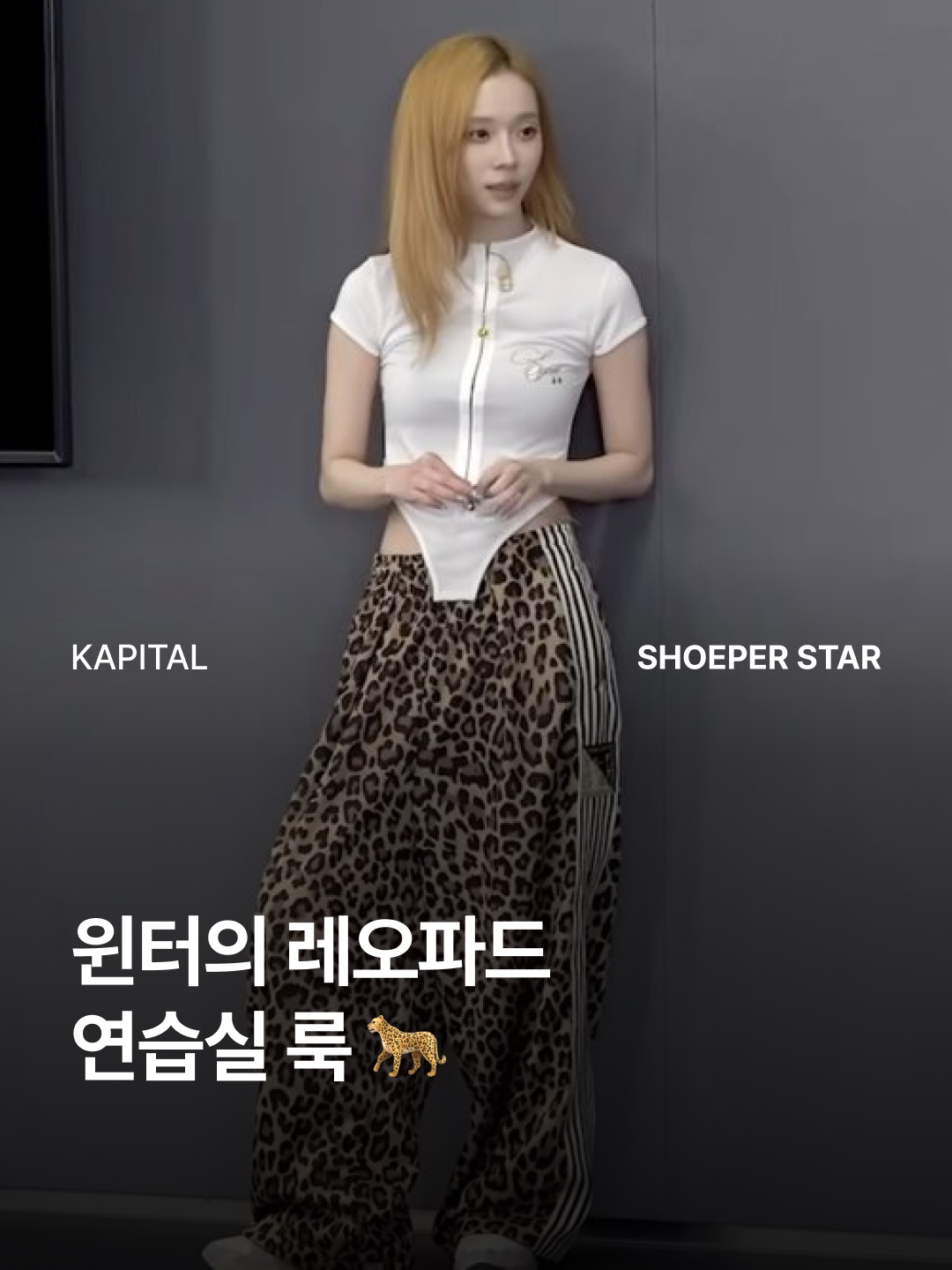 Kapital Stuntman & Woman Baggy Track Pants In Smooth Jersey Leopard Print Brown 착용 스타일 - 1