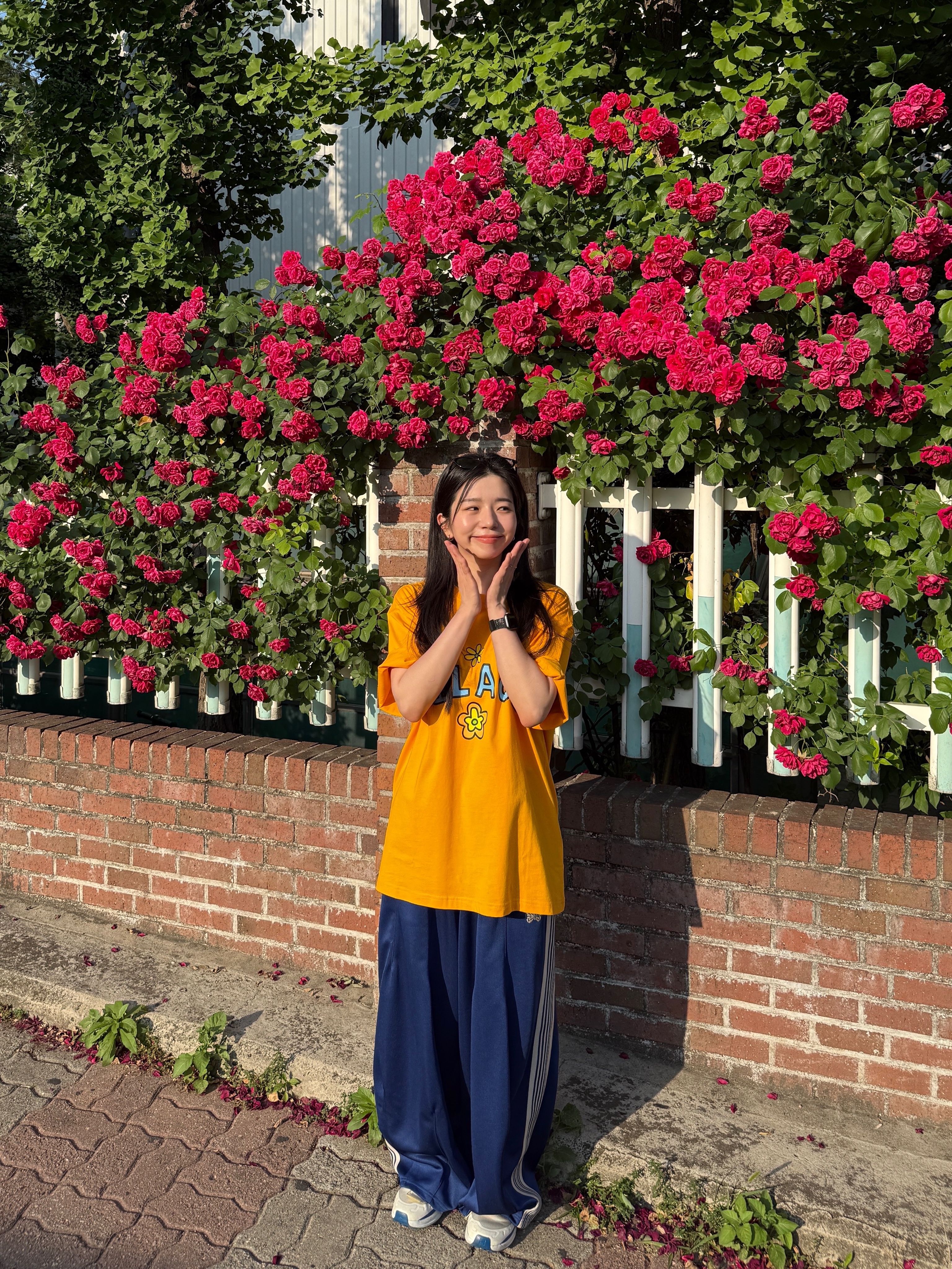Palace Me Myself And Tri T-Shirt Sunny Yellow - 26SS, Needles H.D. Track Pants Poly Smooth Royal 착용 스타일 - 1