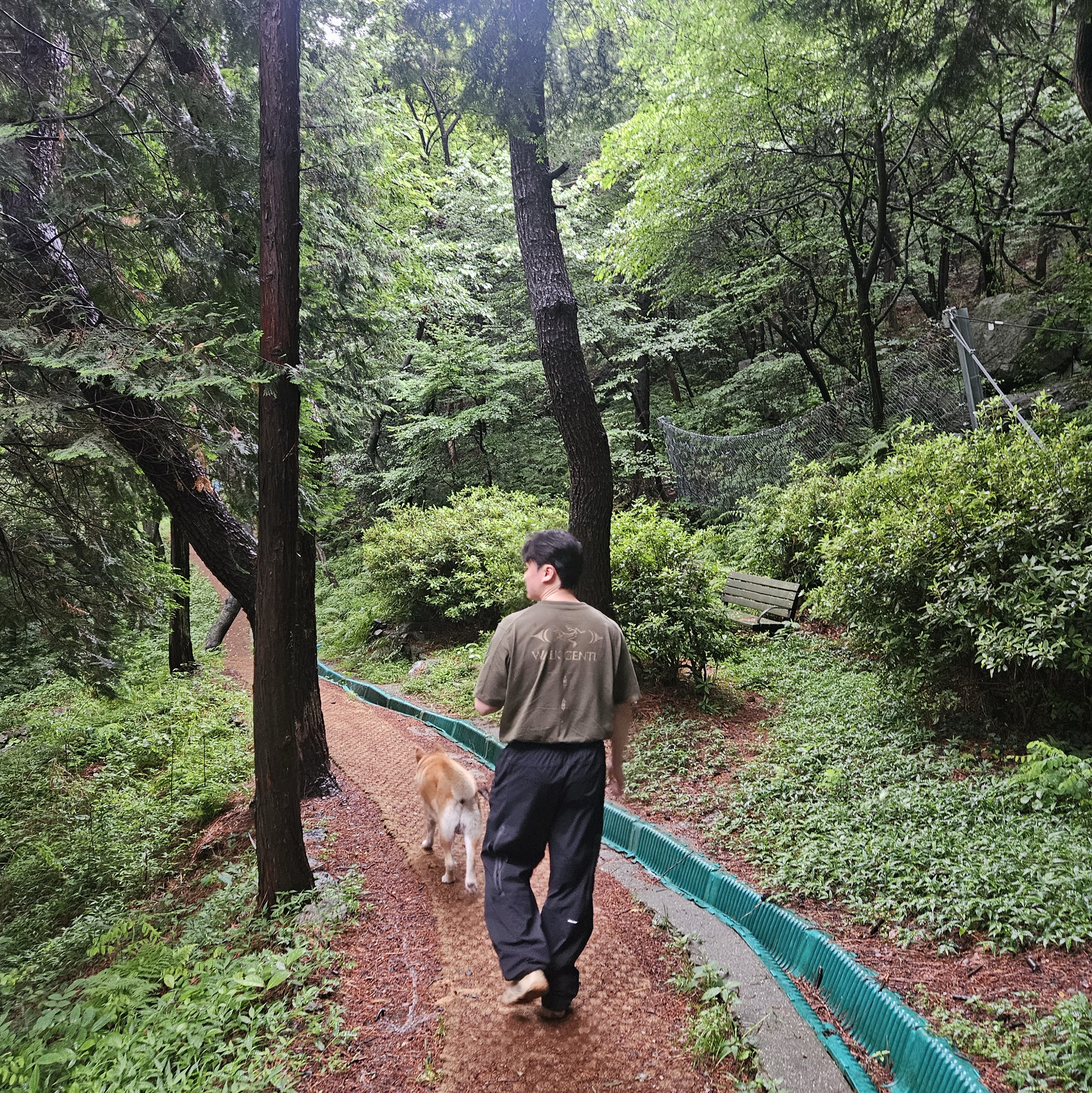 Arc'teryx Walk Gently Cotton Cedar Bark SS T-Shirt Tatsu, Salomon Pinnacle LT Pants Black 착용 스타일