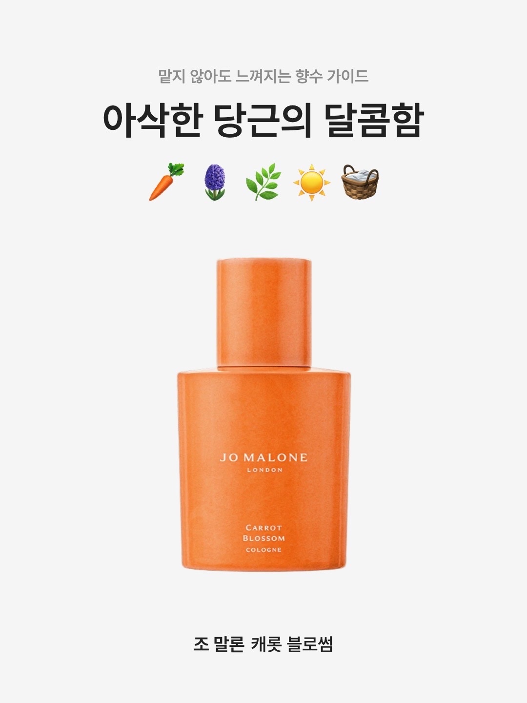 Jo Malone Carrot Blossom Cologne 30ml 착용 스타일 - 1