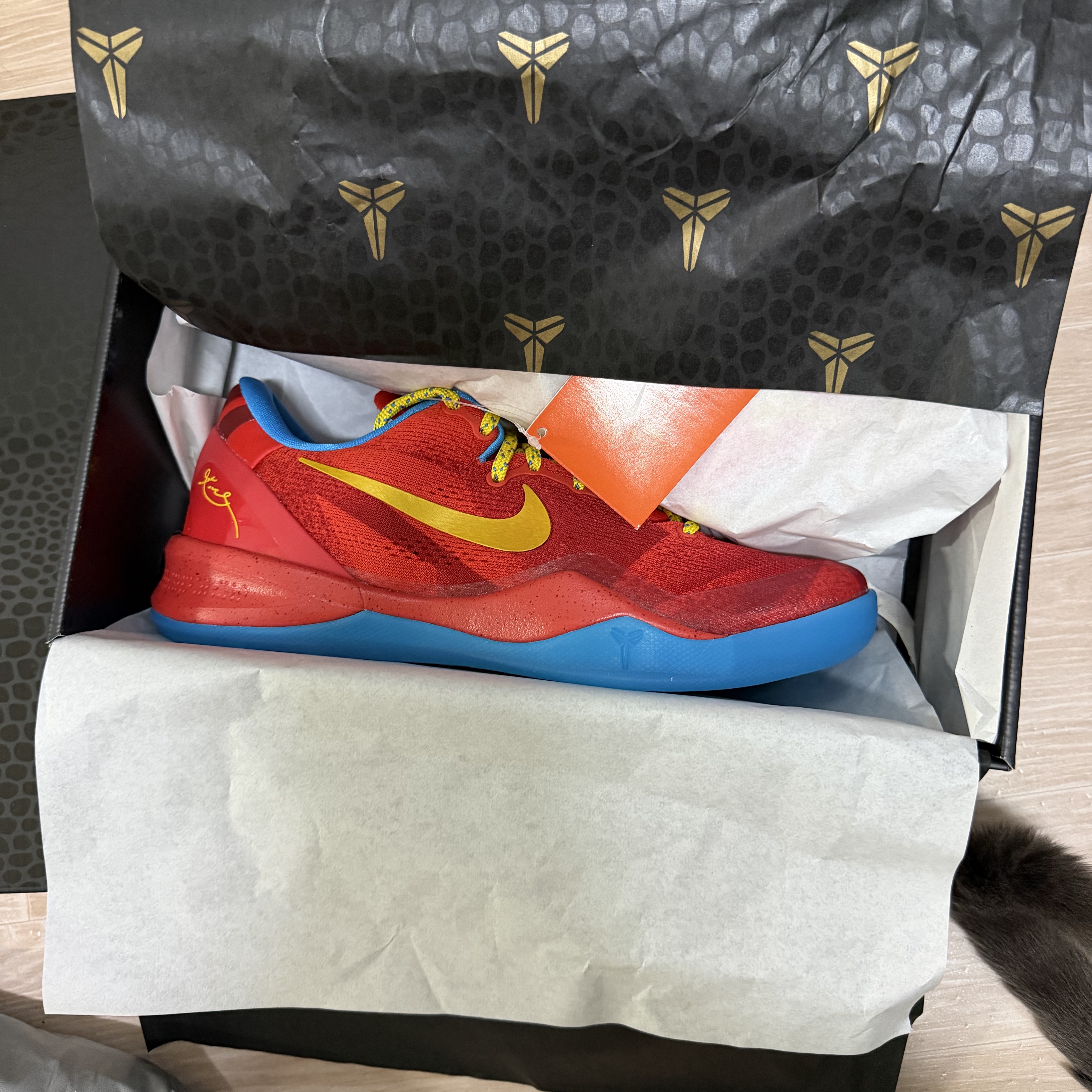 Nike Kobe 8 Protro Year of the Horse Light Crimson and Vivid Blue 착용 스타일 - 2
