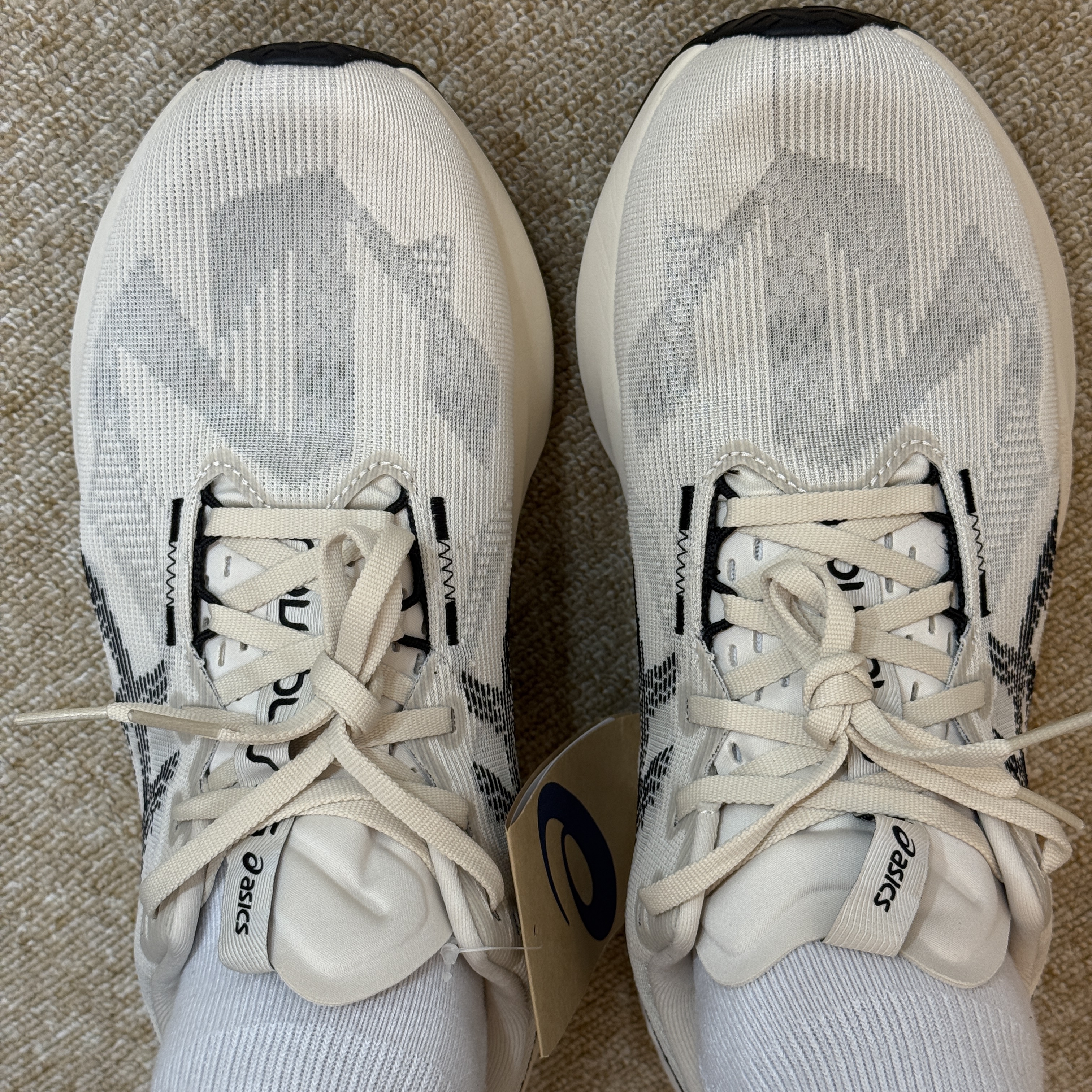 Asics Novablast 5 Oatmeal Black - D Standard 착용 스타일 - 2