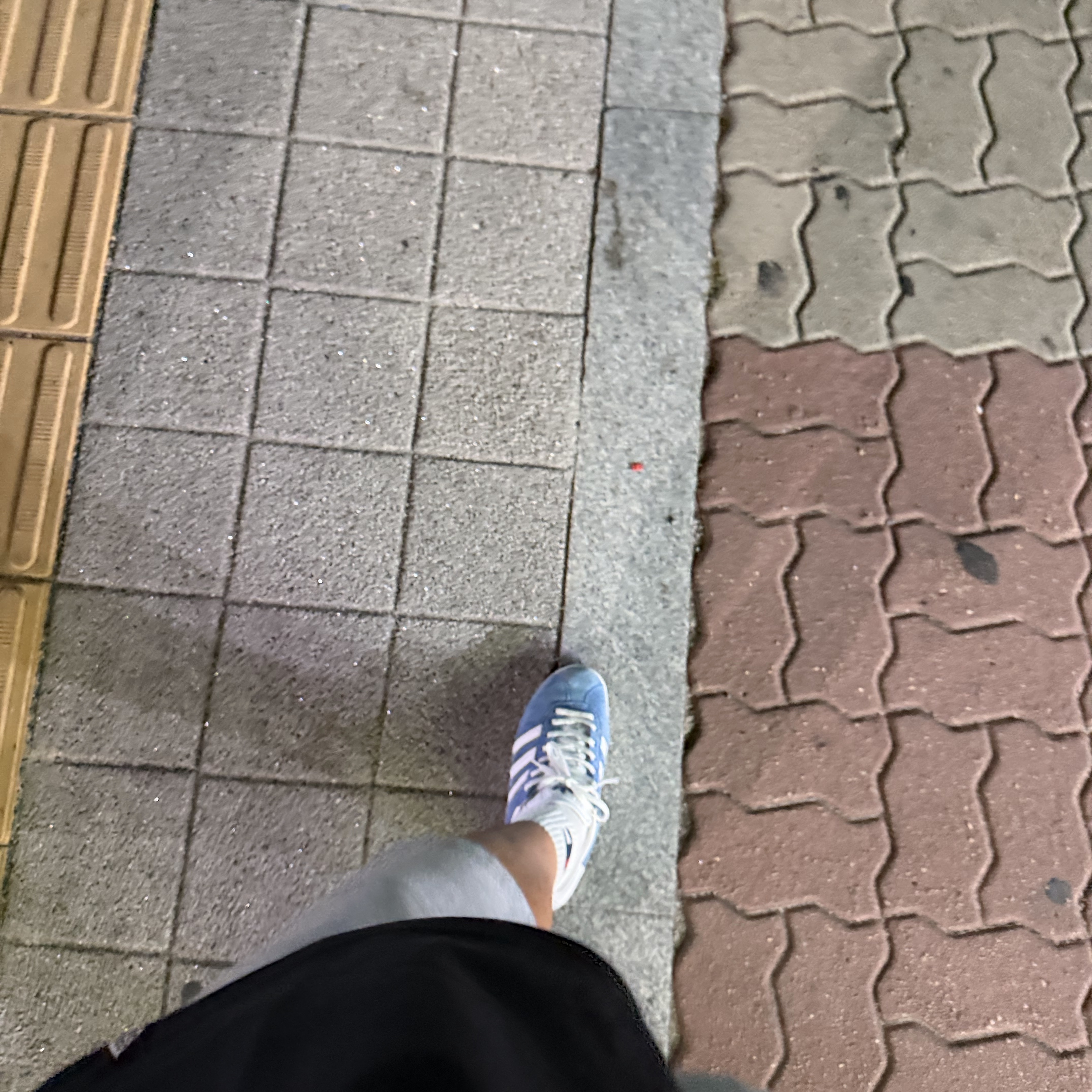 Adidas Gazelle 85 Blue Bird 착용 스타일