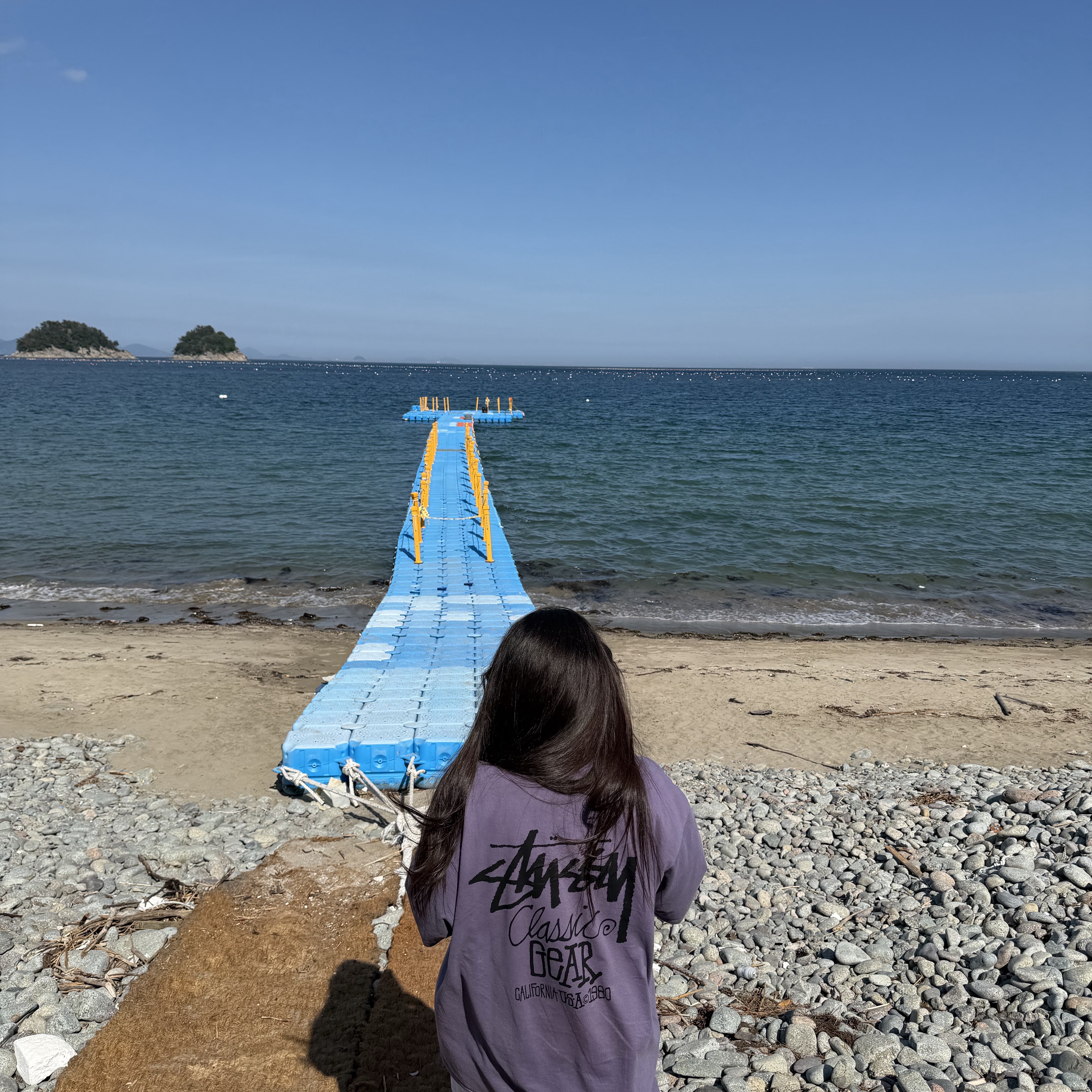 Stussy Pigment Dyed Classic Gear T-Shirt Grape 착용 스타일 - 3