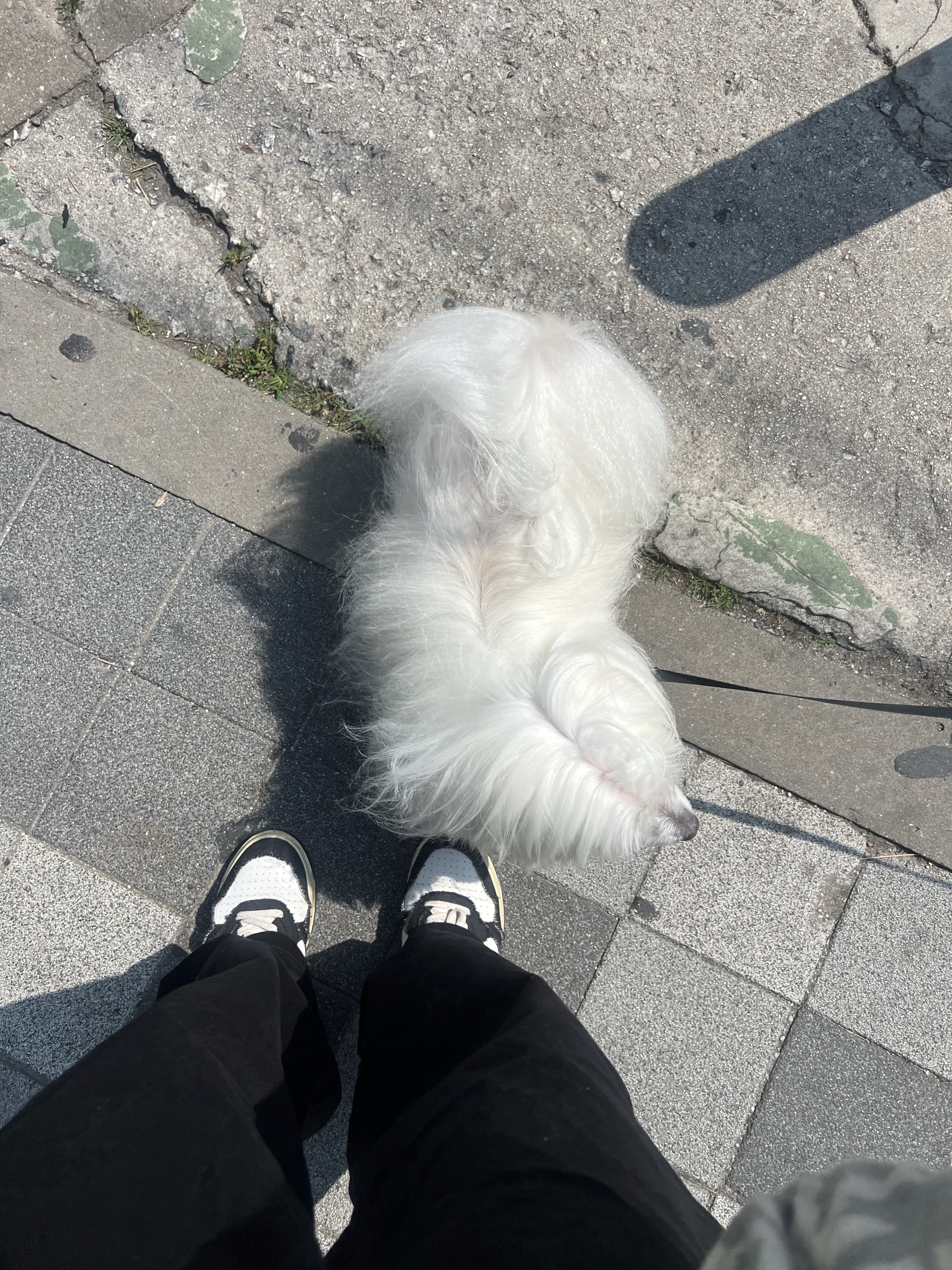 Autry Medalist Low Leather Sneakers Black White 착용 스타일 - 2
