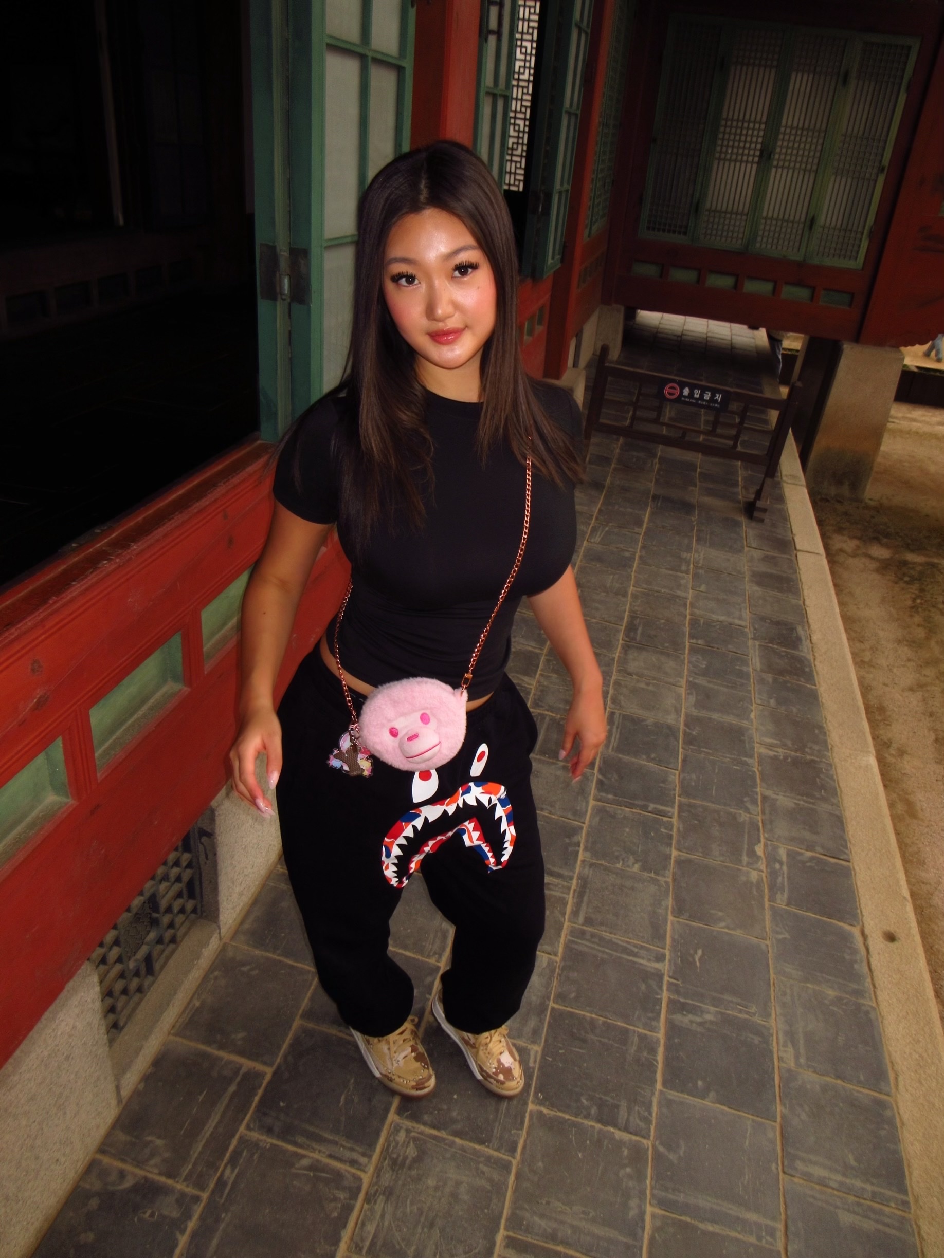 BAPE Shark Relaxed Fit Sweatpants Black - Korea Exclusive, (W) Jordan 3 Retro Desert Camo 착용 스타일 - 2