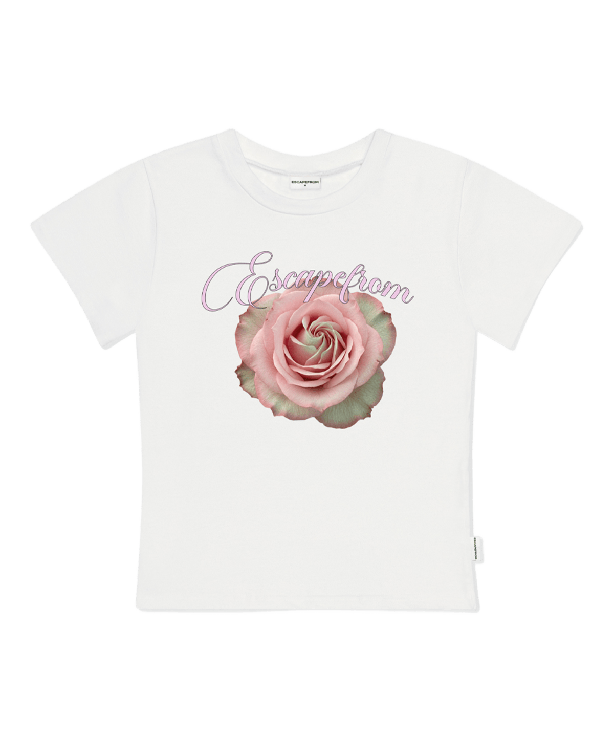 E261STS034IV Escapefrom Pink Real Rose Print Slim Fit T-Shirt Ivory