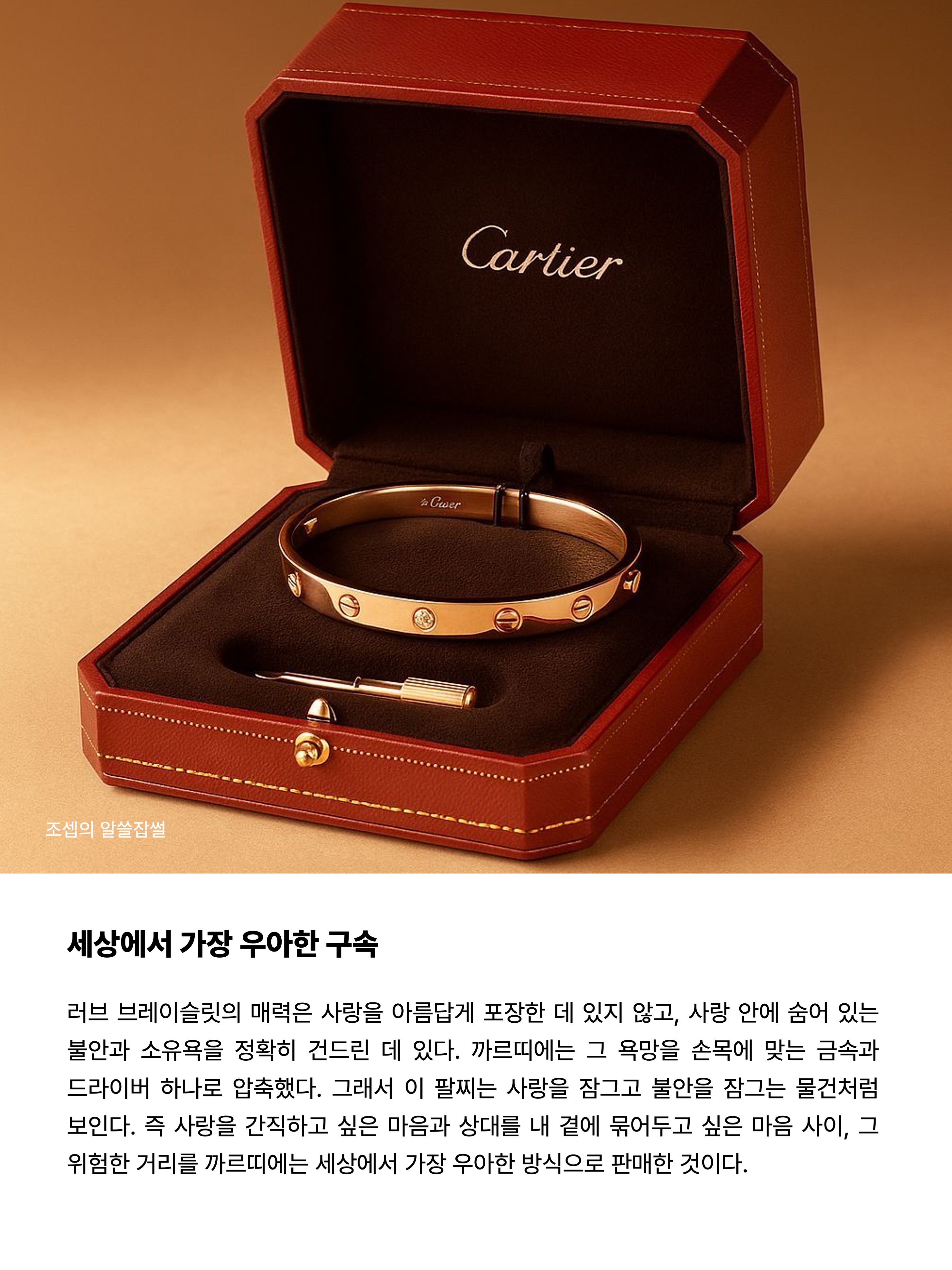 Cartier Love Bracelet Rose Gold, Cartier Love Medium Bracelet Paved White Gold 착용 스타일 - 9