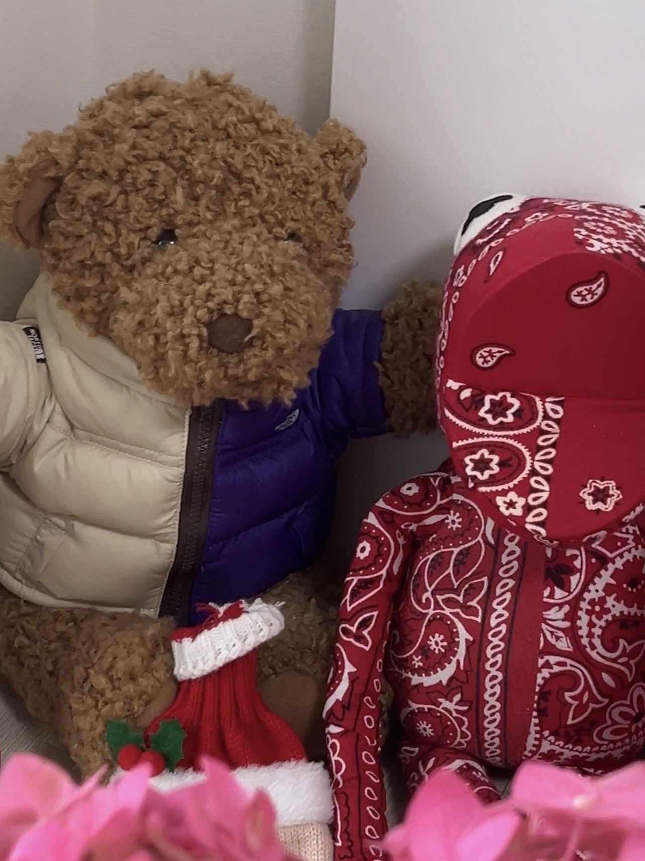 Supreme x The North Face Bear Tan - 24SS, Supreme Chucky Doll - 20FW 착용 스타일 - 3