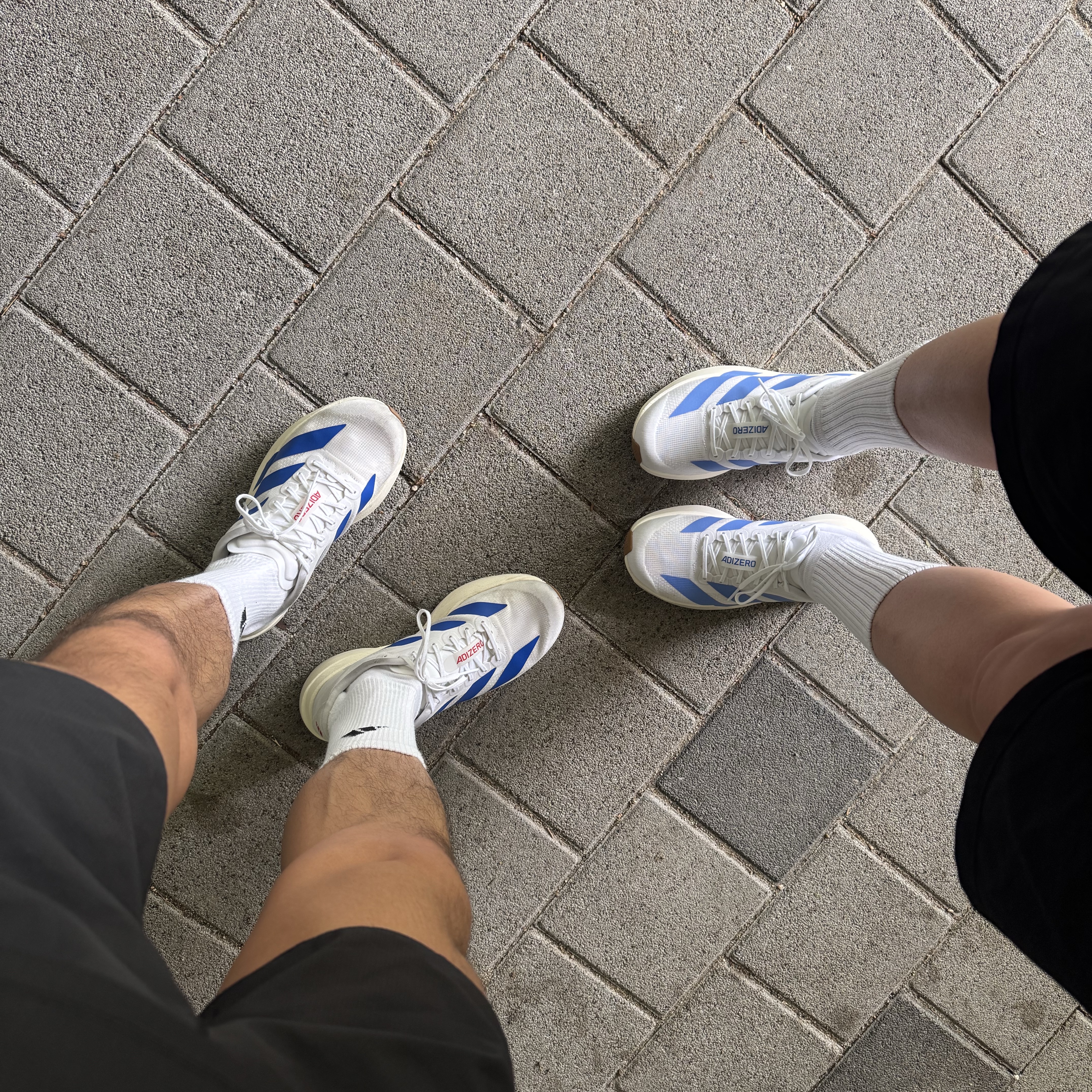 (W) Adidas Adizero Evo SL Cloud White Blue Fusion, Adidas Adizero EVO SL Cloud White Royal Blue 착용 스타일