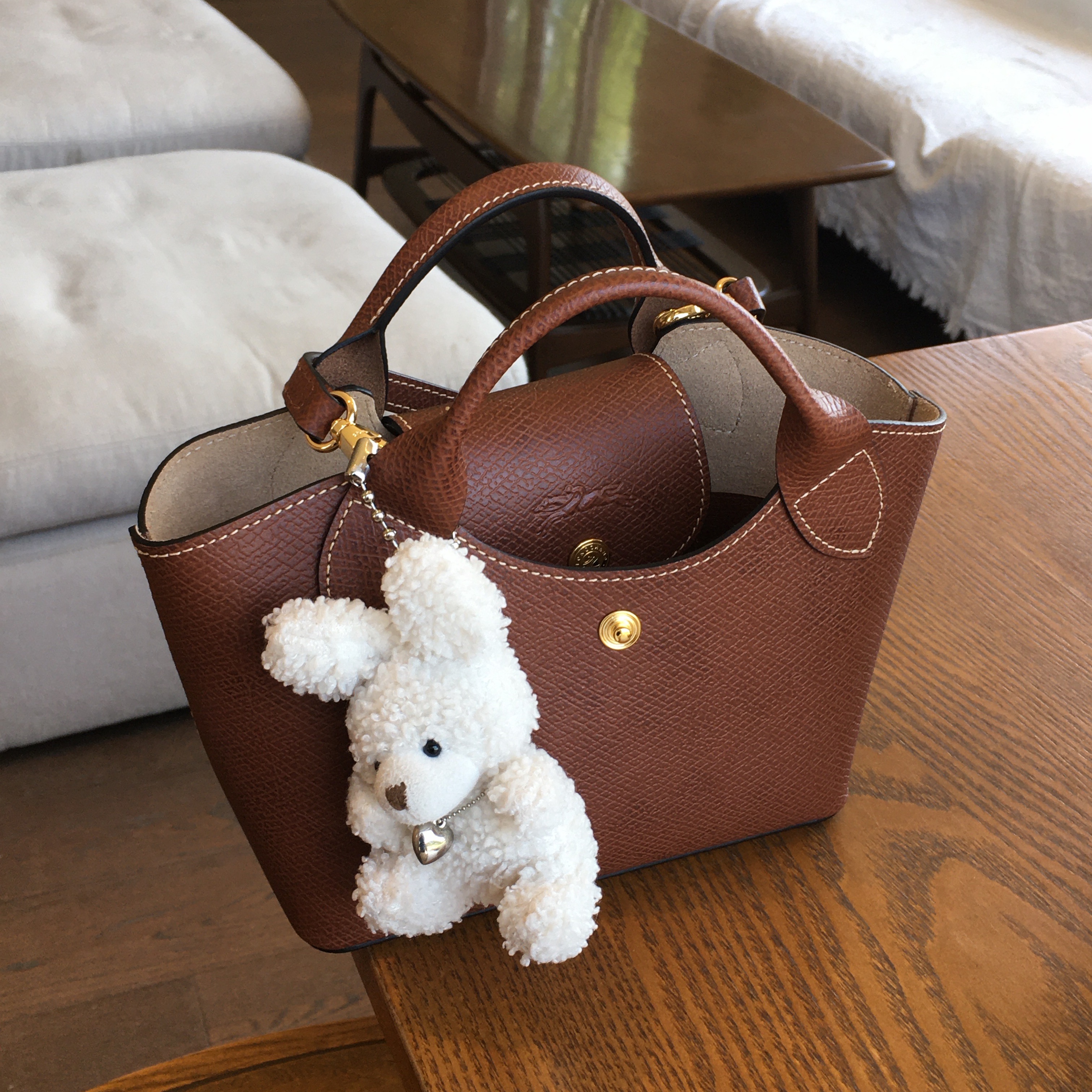 Longchamp Epure XS Top Handle Bag  Brown 착용 스타일