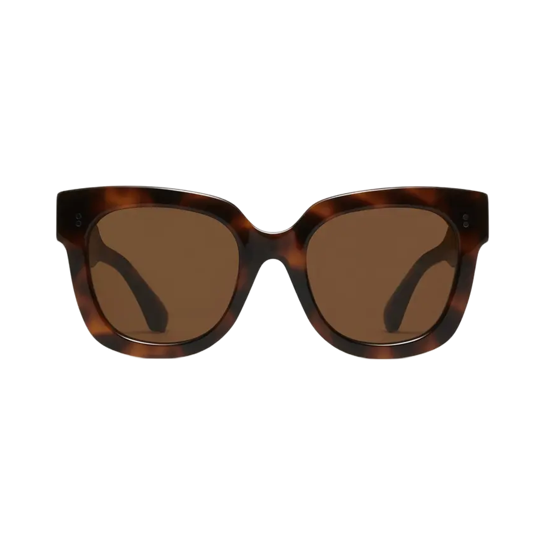 치미 08 톨토이즈 톨토이즈(Chimi 08 Tortoise Tortoise)
