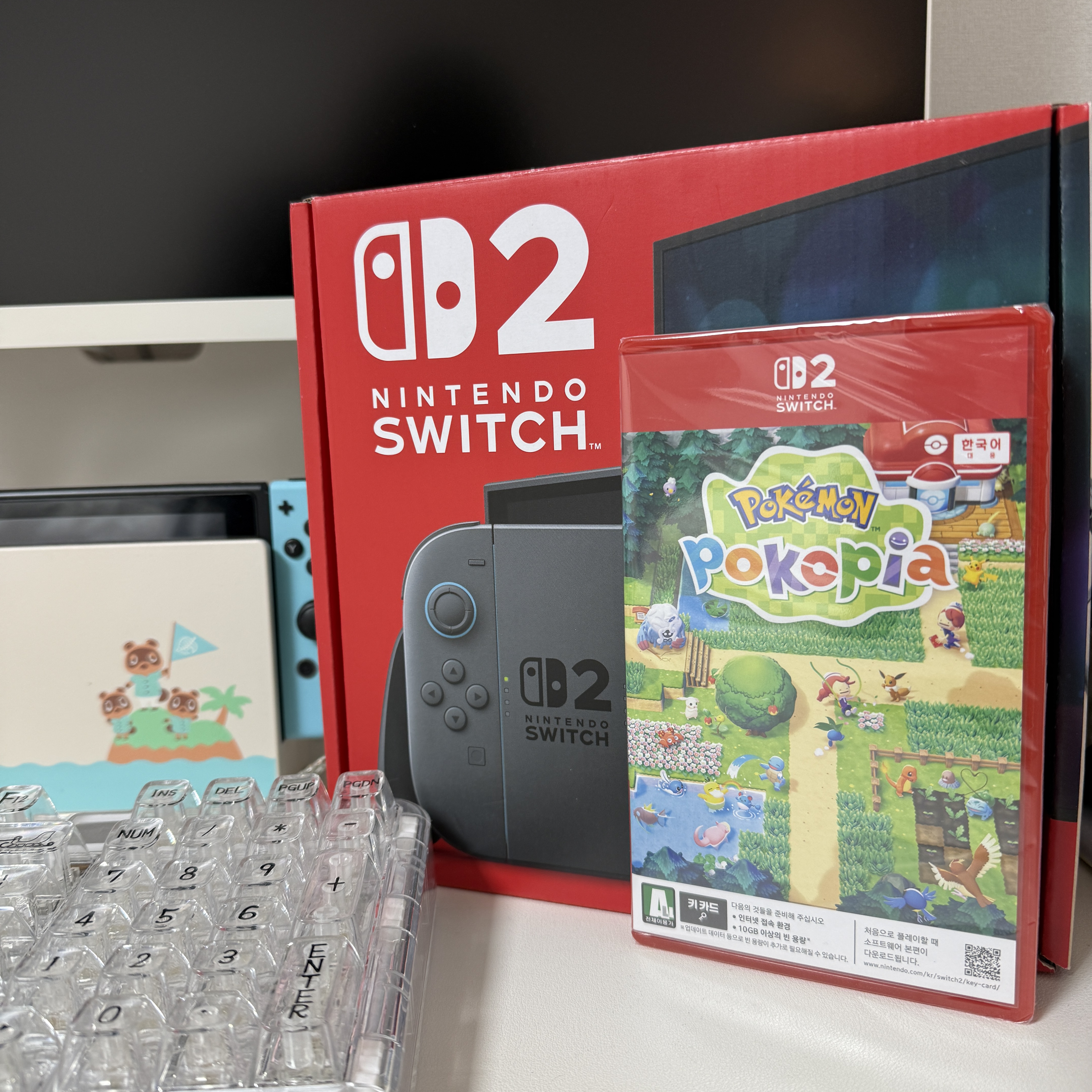 Nintendo Switch 2 Black (Korean Ver.), Nintendo Switch Animal Crossing Edition (Korean Ver.) 착용 스타일