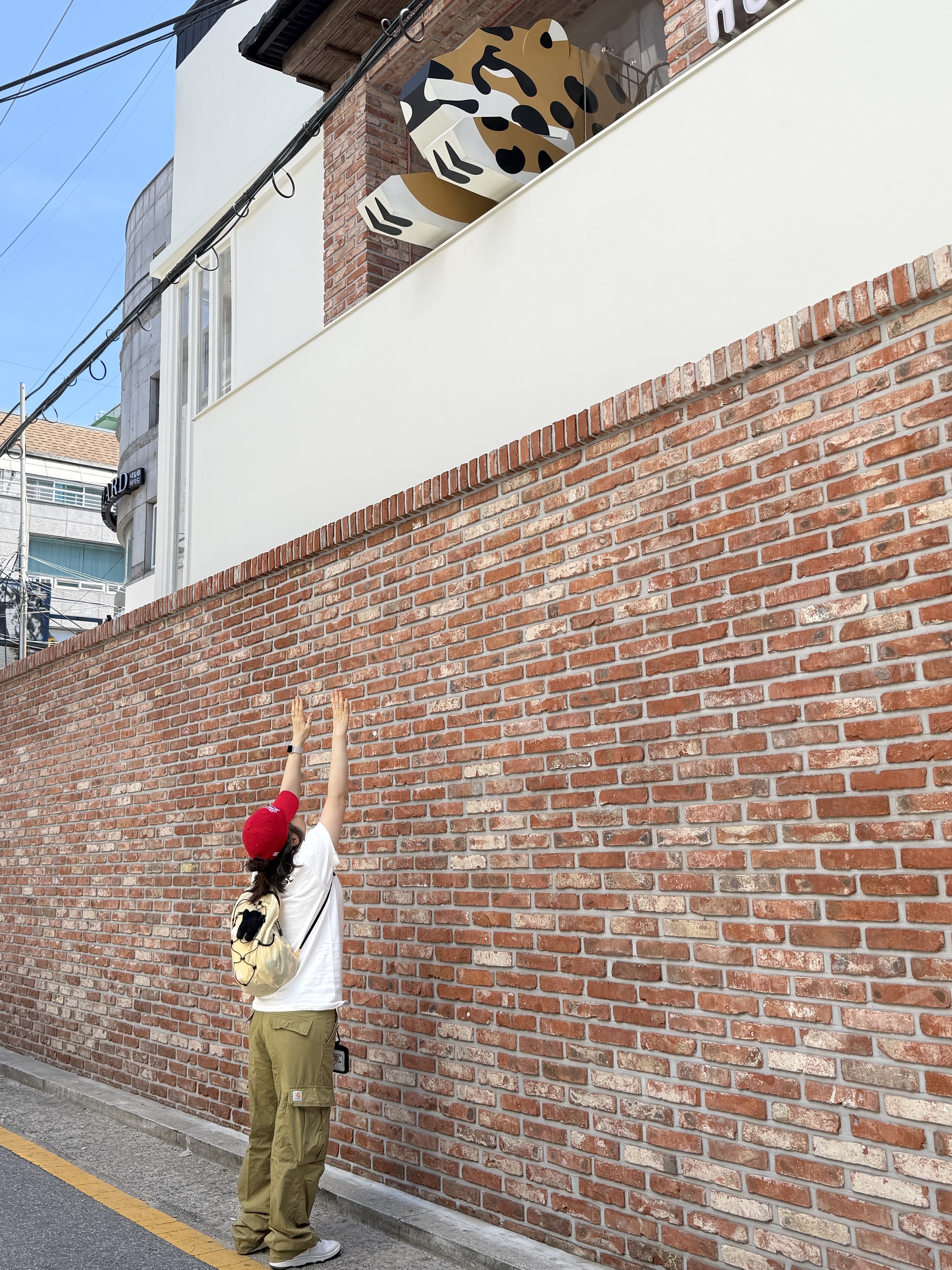Carhartt WIP Cole Cargo Pants Smoke Green Garment Dyed, Human Made Military Card Case Black 착용 스타일