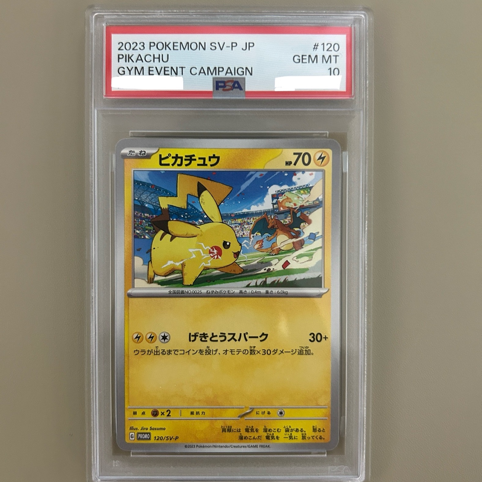 Pokemon TCG Pikachu P Scarlet & Violet Promos (Japanese Ver.) 착용 스타일