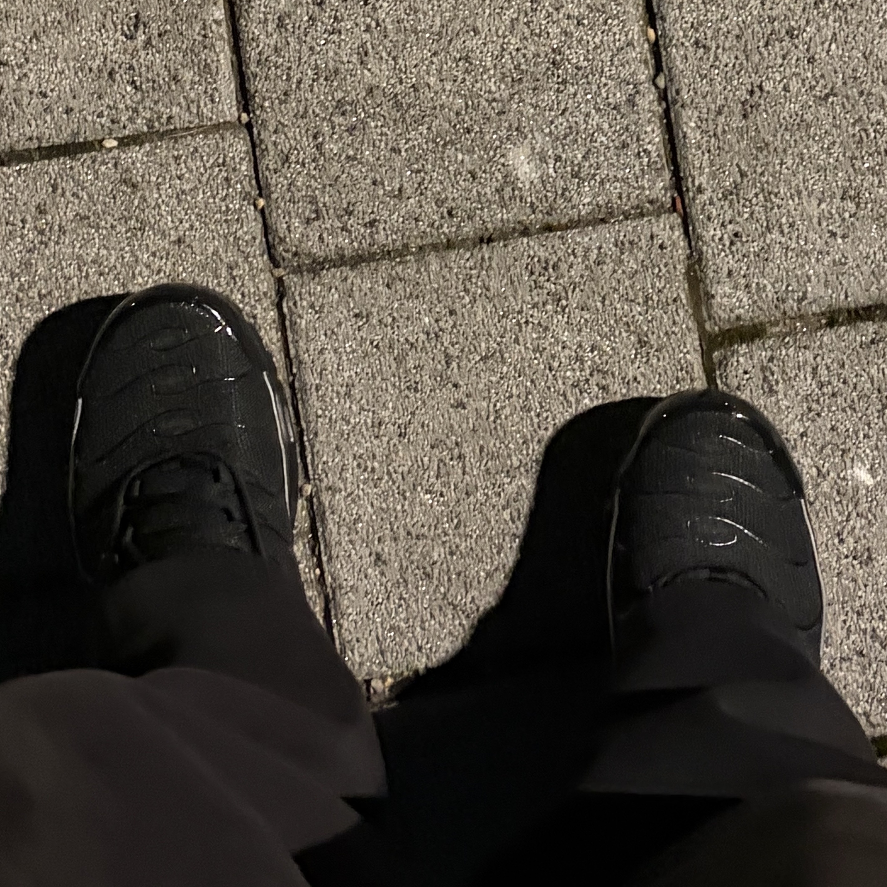 Nike Air Max Plus OG Black Metallic Silver 착용 스타일