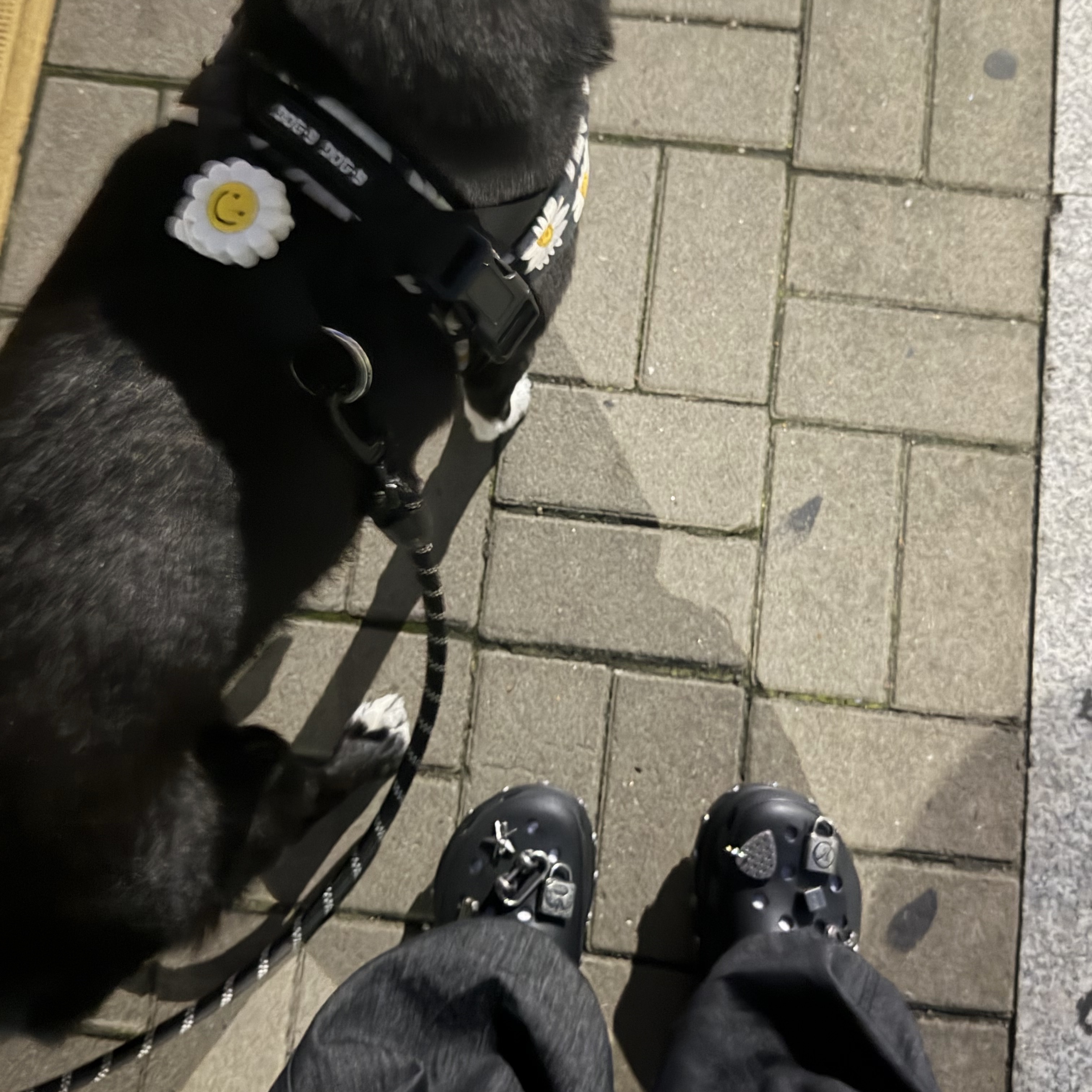 (W) Crocs x Andersson Bell Bae Clog Black 착용 스타일 - 1