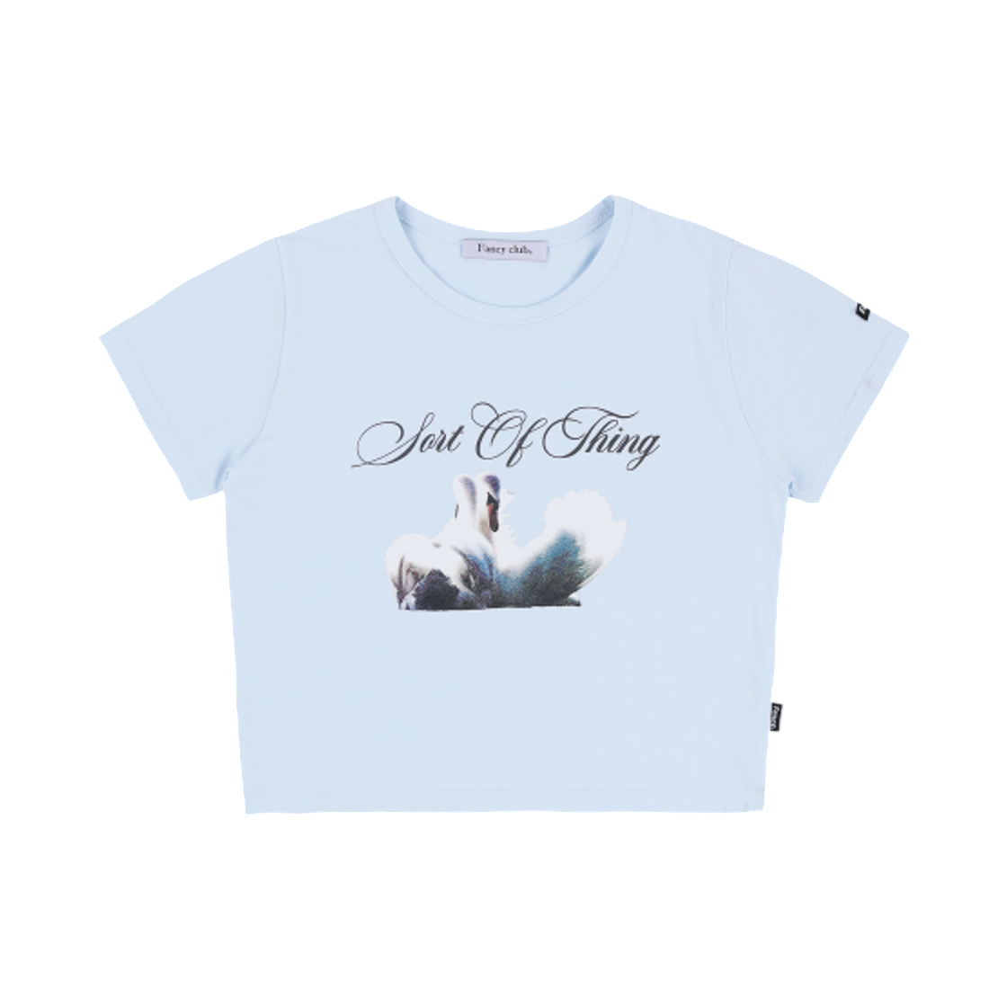 (W) 팬시 클럽 시그너스 스탠다드 티셔츠 라이트 블루((W) Fancy Club Cygnus Standard T-Shirt Light Blue)