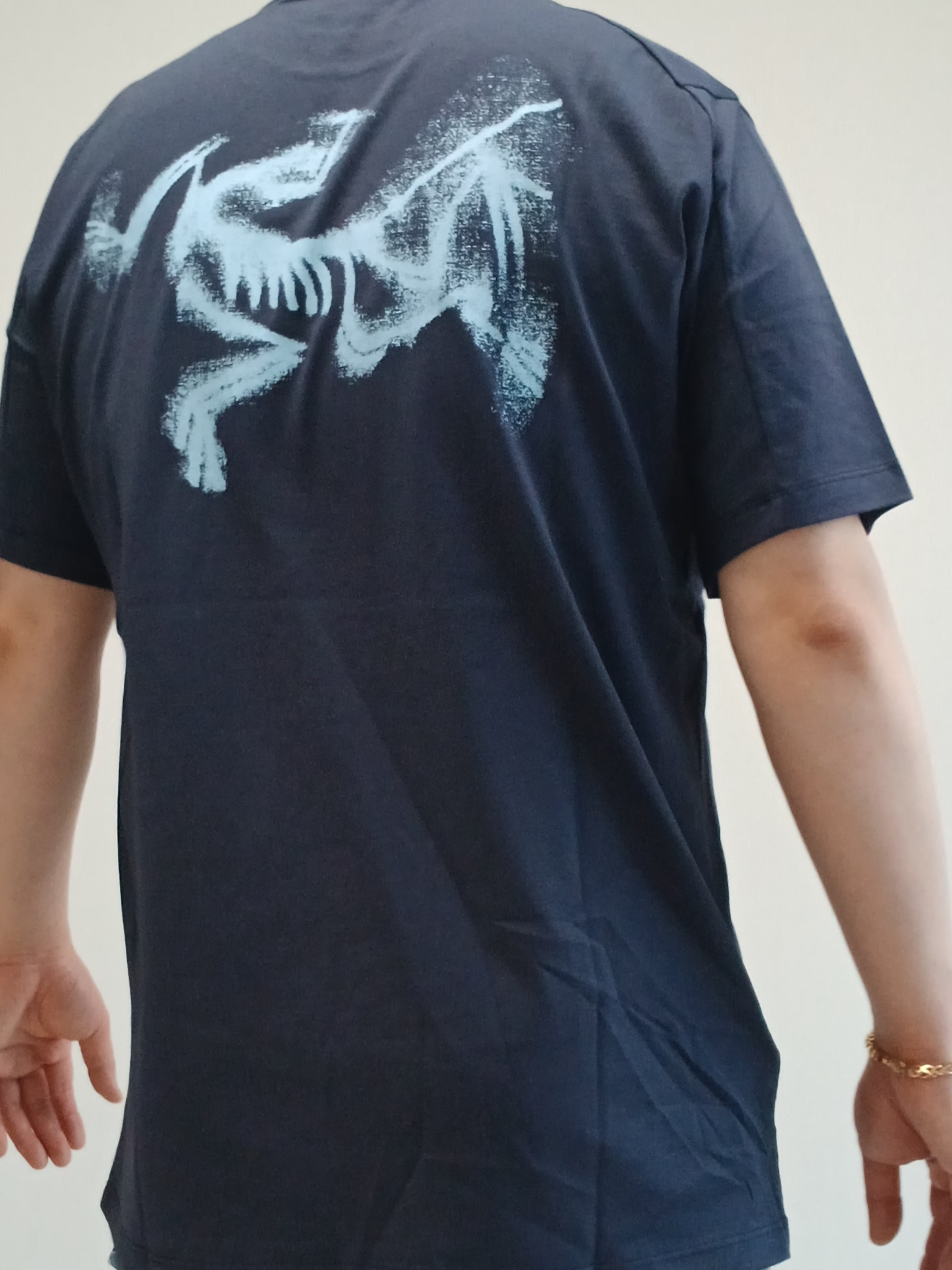 Arc'teryx Kragg SL Cotton Blurred Bird SS T-Shirt Black Sapphire 착용 스타일 - 1