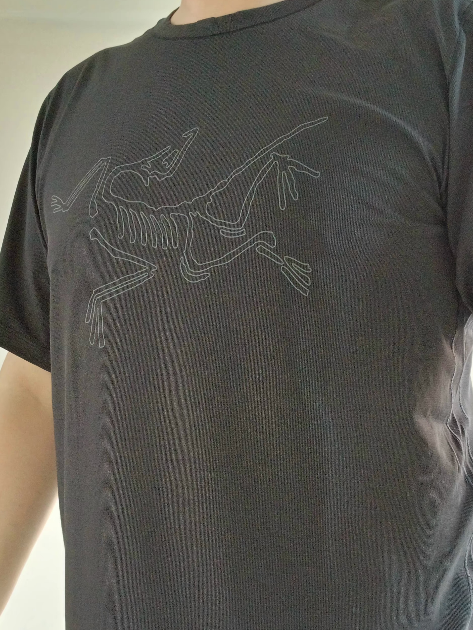 Arc'teryx Cormac Logo SS Shirt Black 착용 스타일 - 3