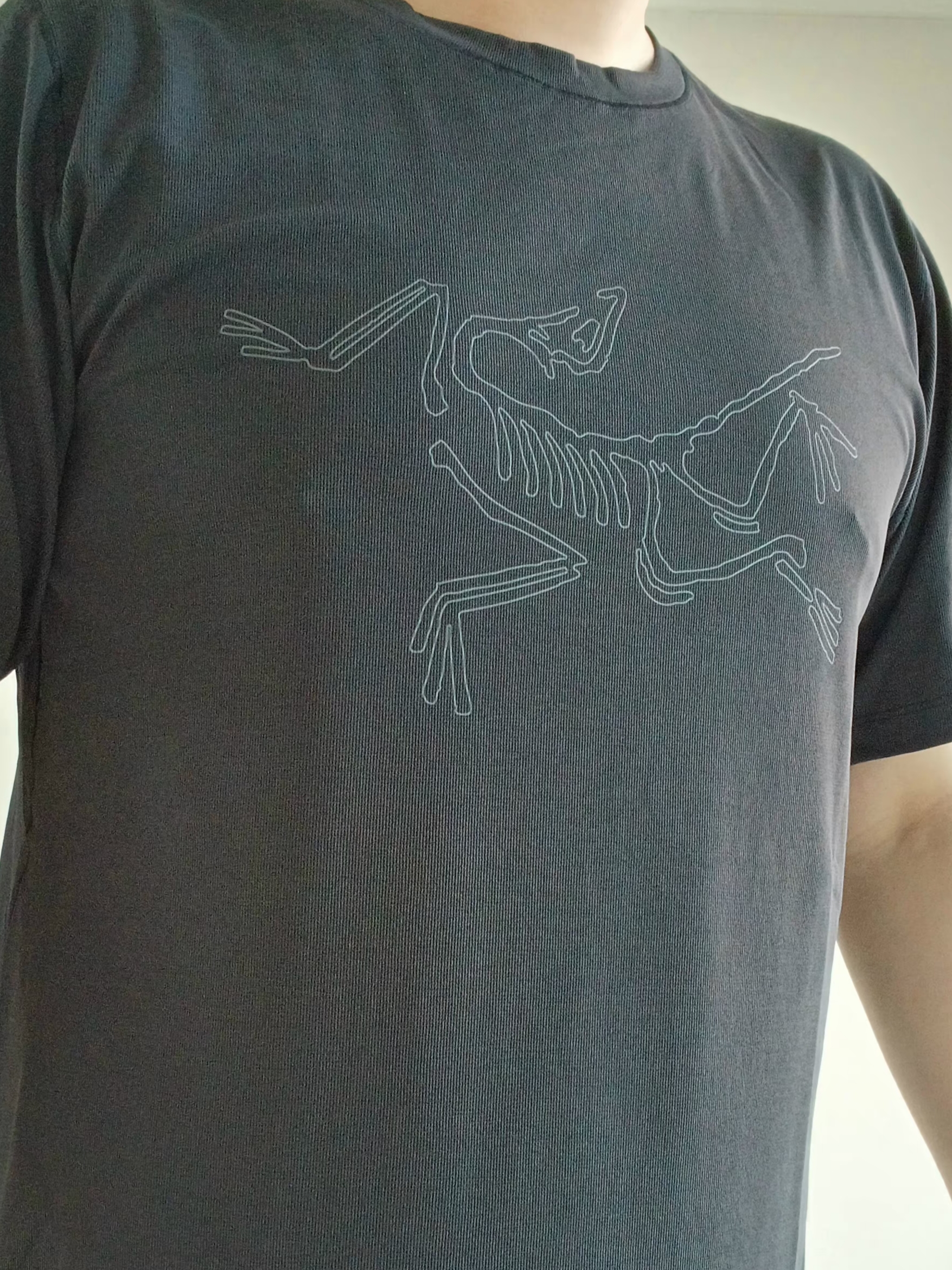 Arc'teryx Cormac Logo SS Shirt Black 착용 스타일 - 4