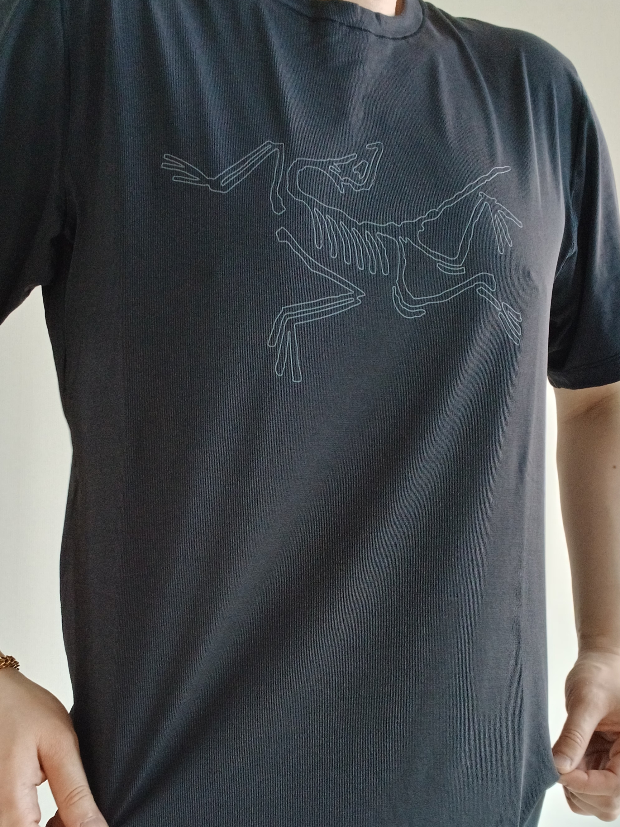 Arc'teryx Cormac Logo SS Shirt Black 착용 스타일 - 1