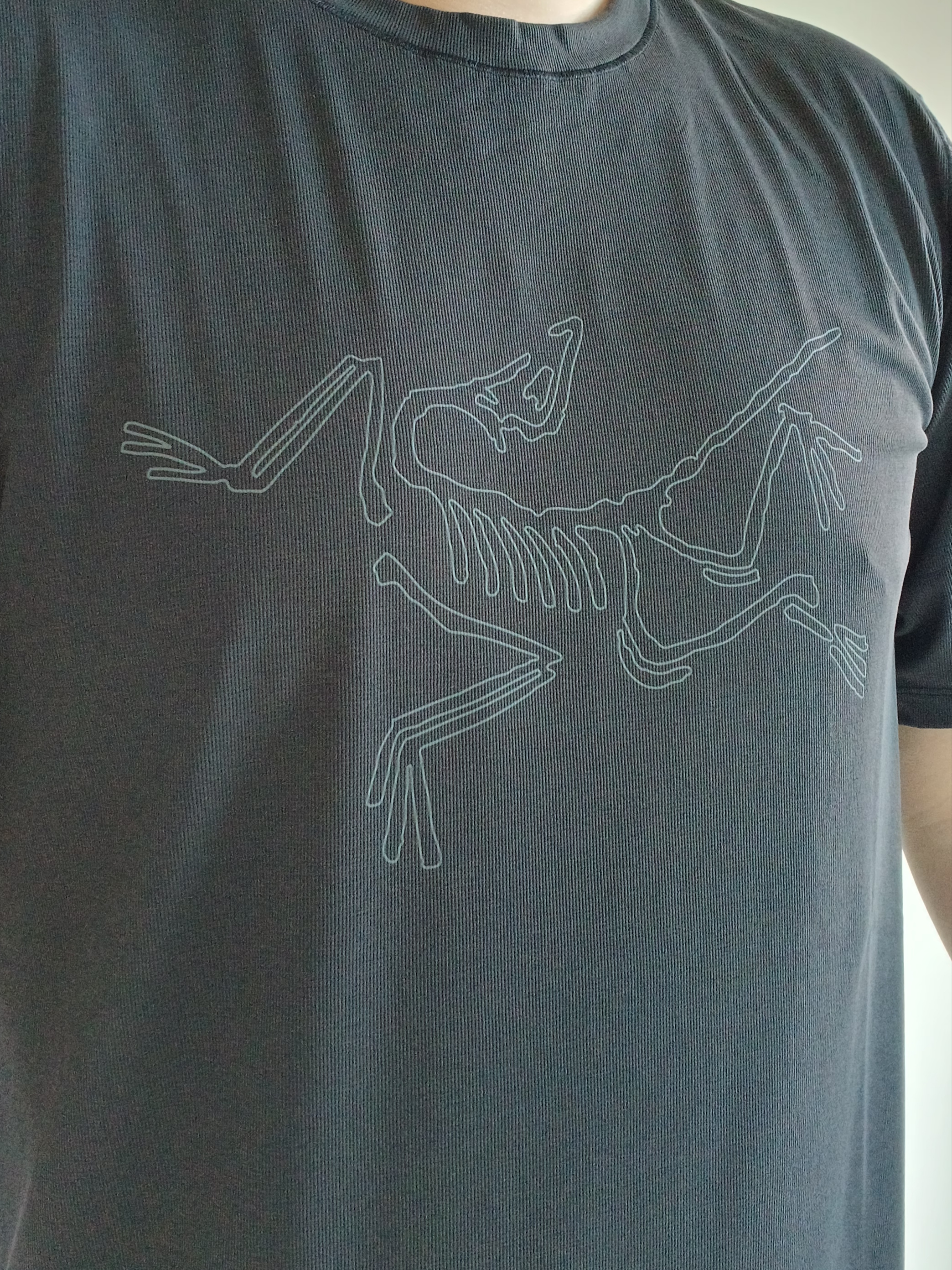 Arc'teryx Cormac Logo SS Shirt Black 착용 스타일 - 2