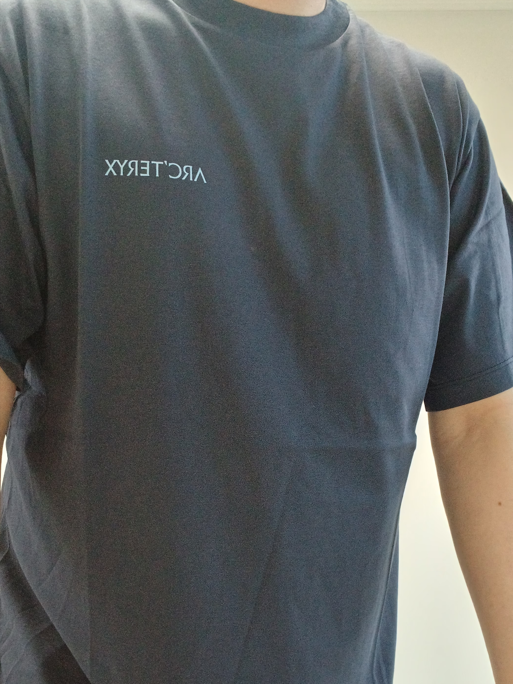 Arc'teryx Kragg SL Cotton Blurred Bird SS T-Shirt Black Sapphire 착용 스타일 - 3