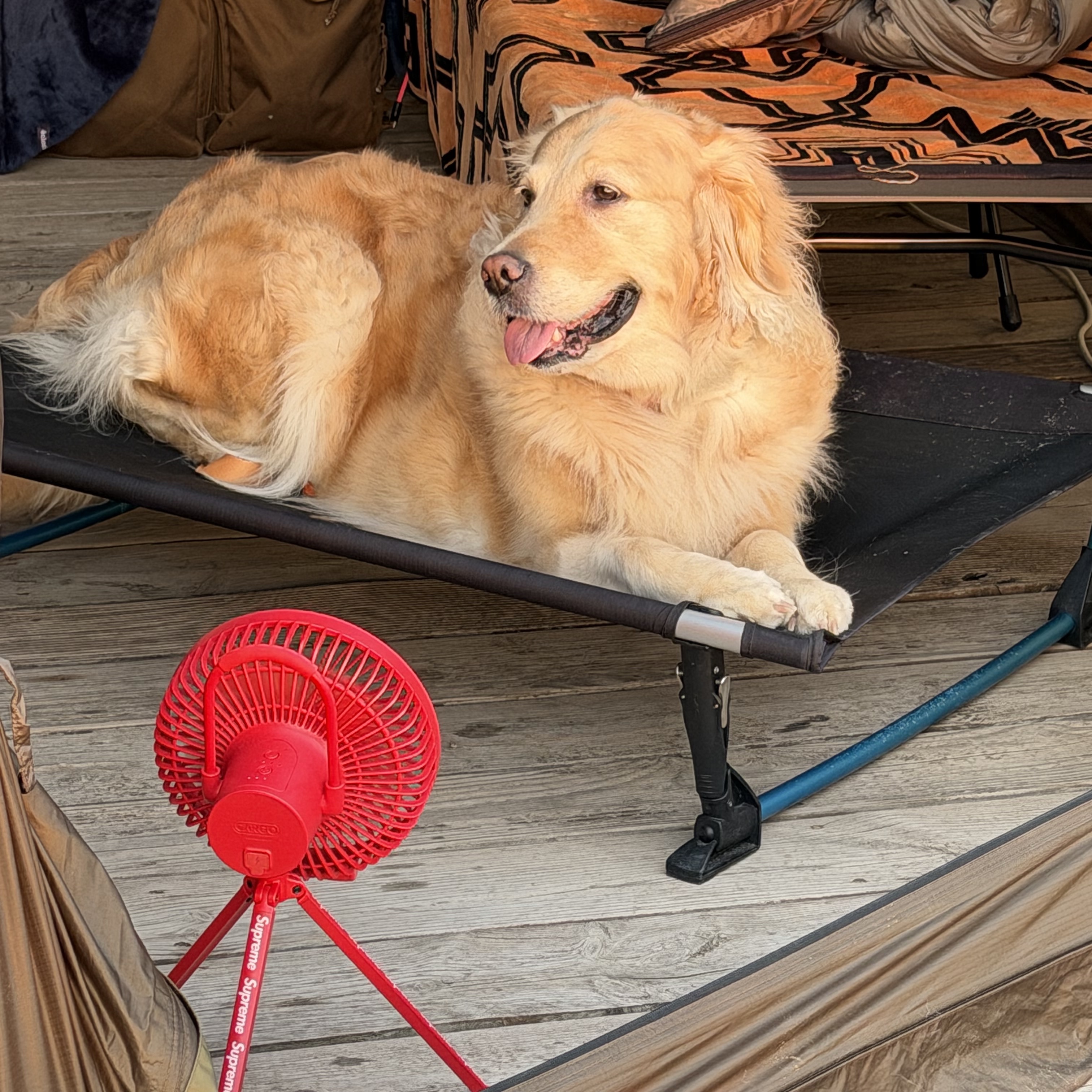 Supreme x Cargo Container Electric Fan Red - 23FW 착용 스타일