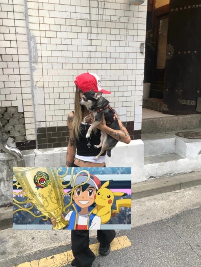 스타일 카드
