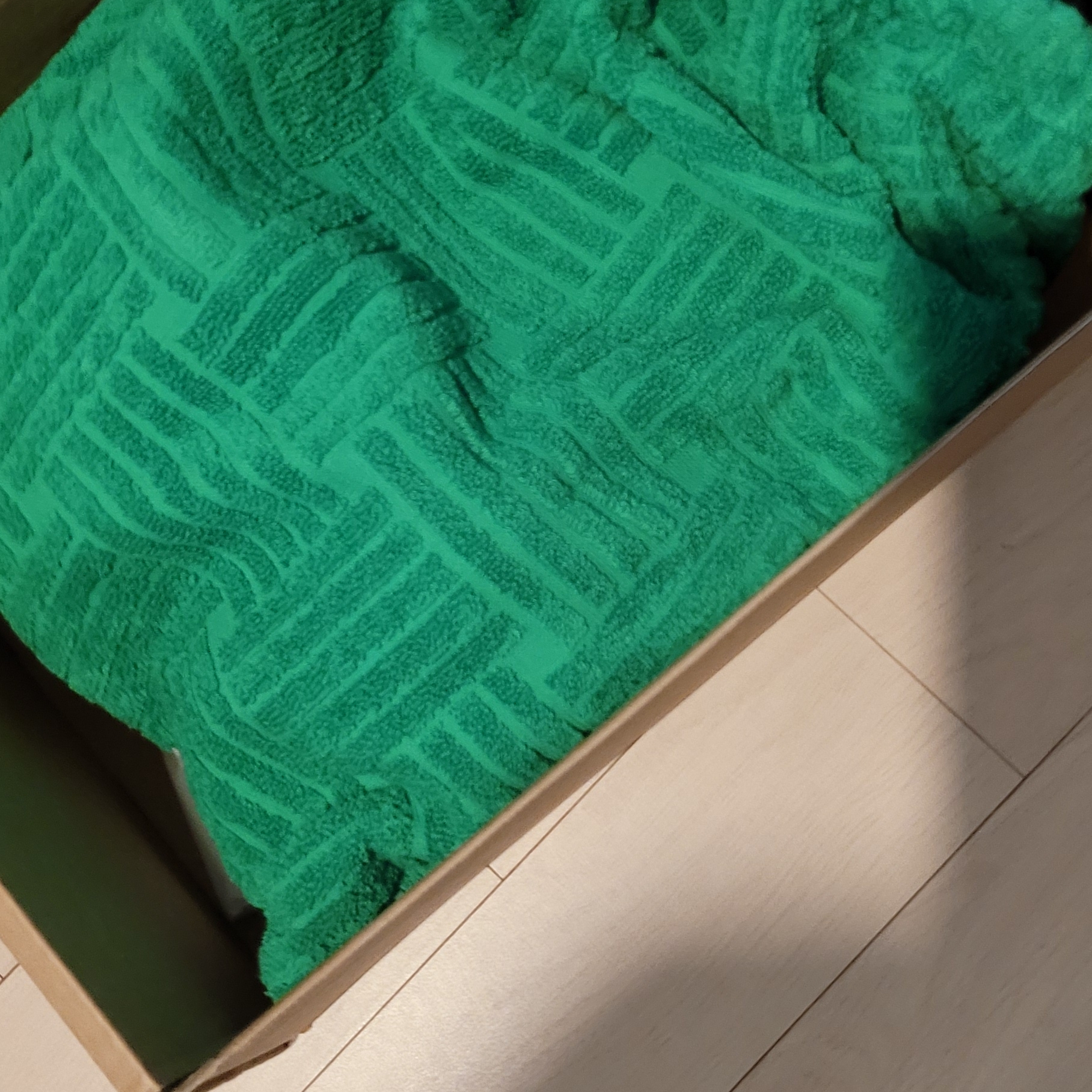 (W) Bottega Veneta Resort Sponge Grass 착용 스타일 - 2
