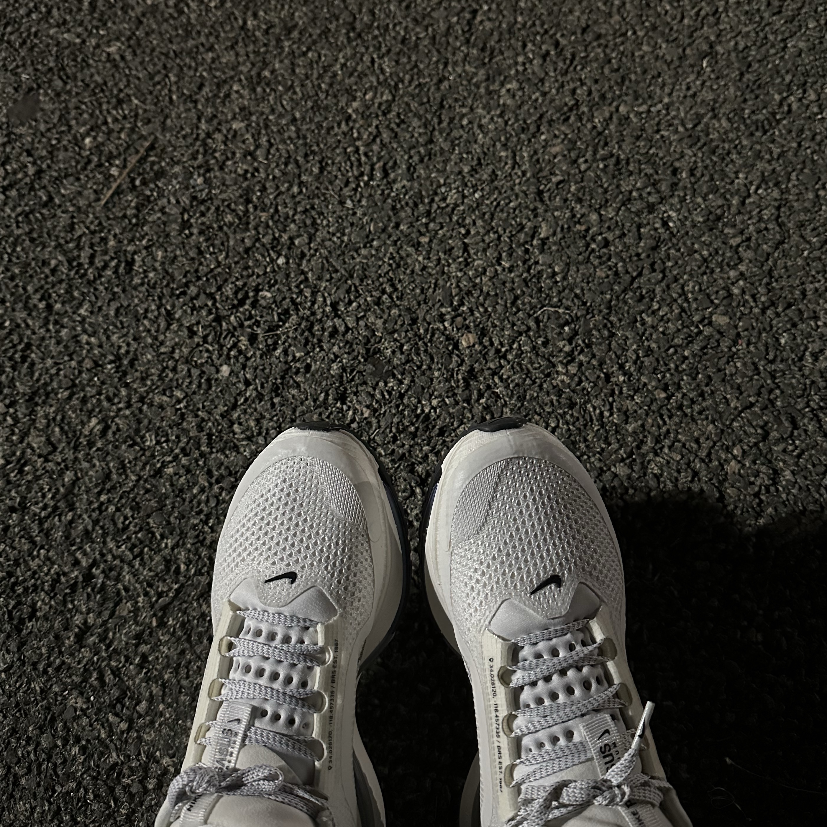 Nike Pegasus Premium White Metallic Silver, (W) Nike Pegasus Premium Playful Pink Hyper Pink 착용 스타일 - 2