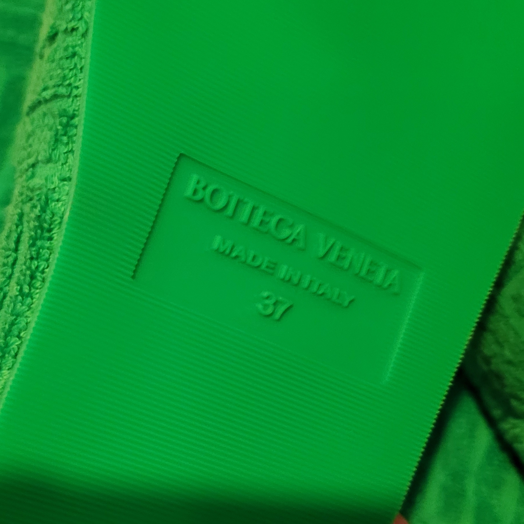 (W) Bottega Veneta Resort Sponge Grass 착용 스타일 - 3