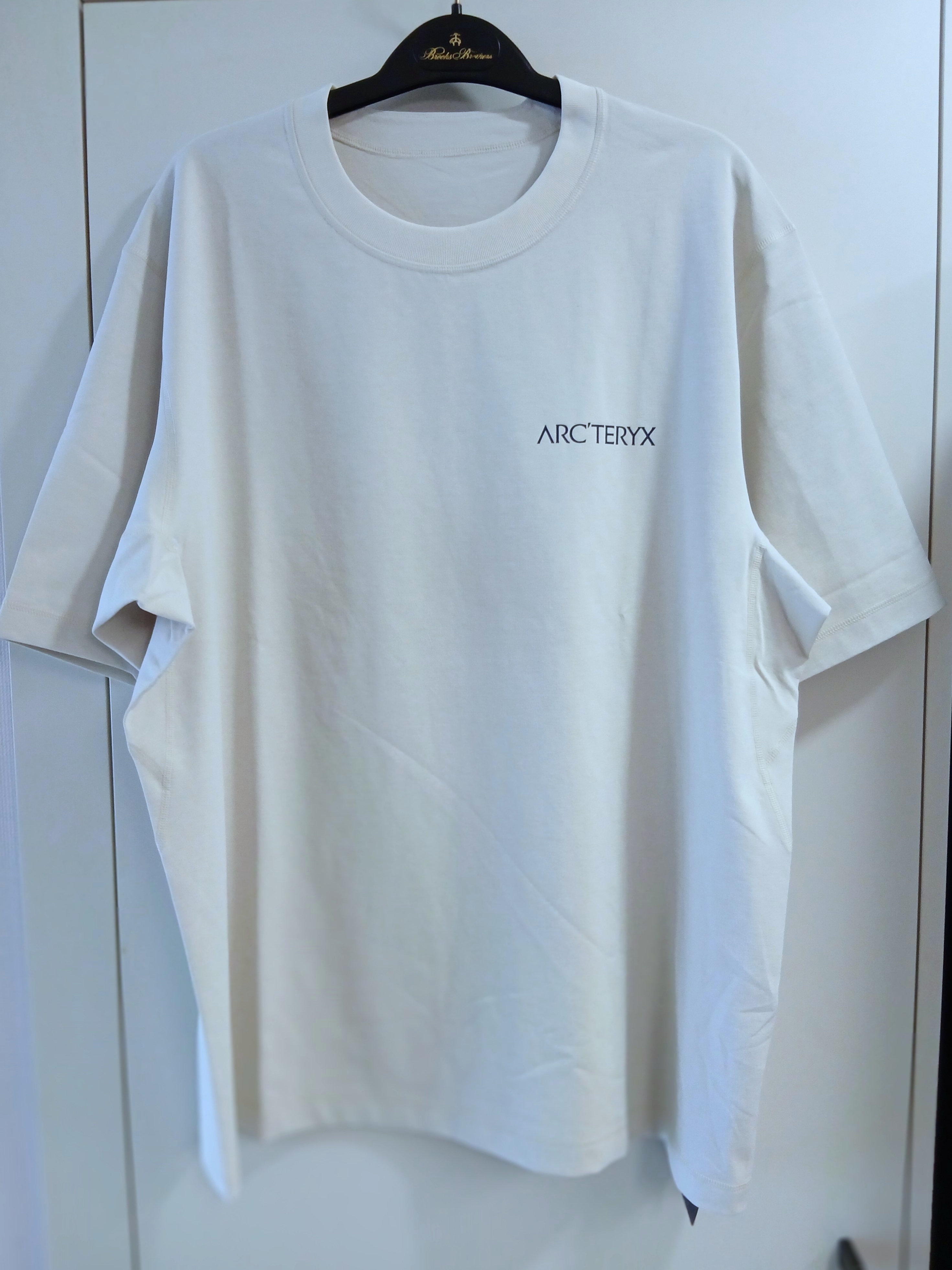 Arc'teryx Envoy Grand Wall SS T-Shirt Sea Salt 착용 스타일 - 3